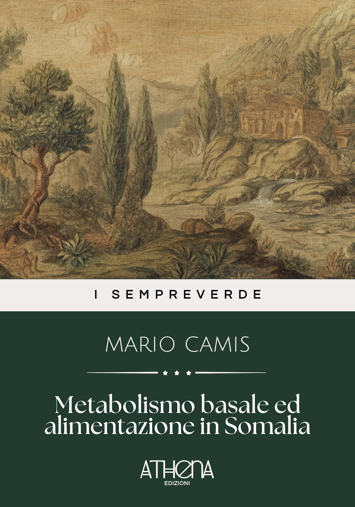 Metabolismo basale e