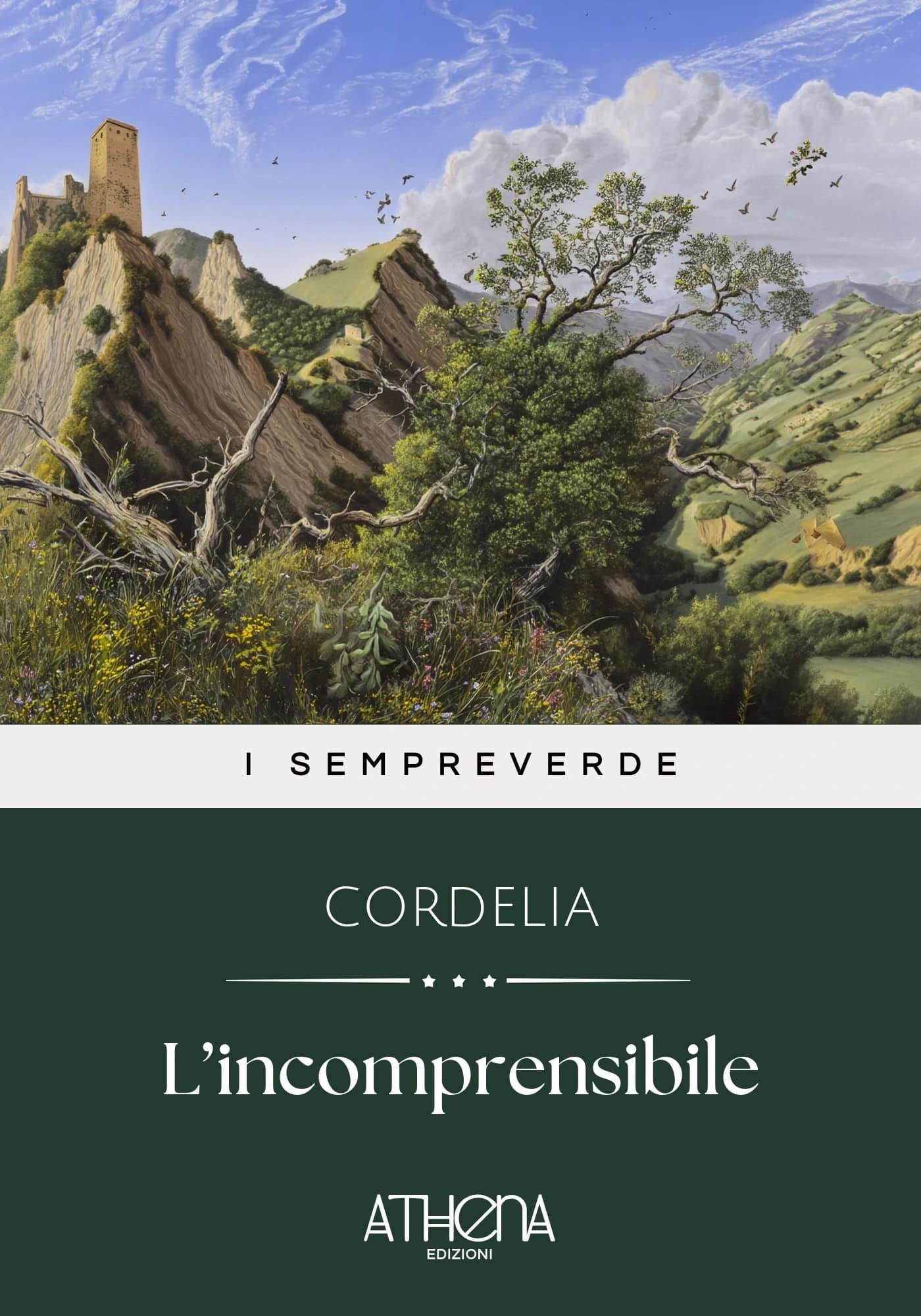 L’incomprensibile