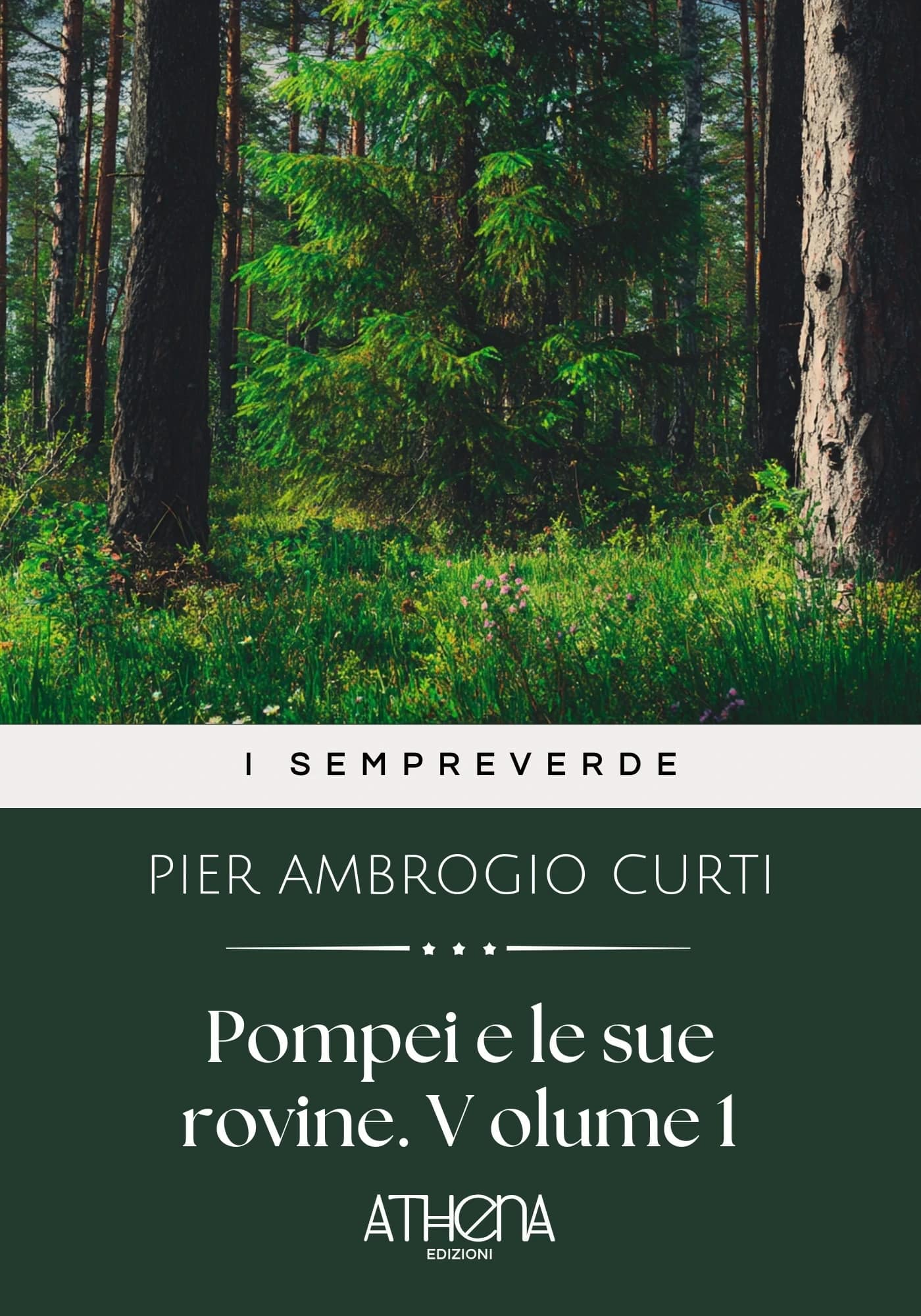 Pompei e le sue rovi