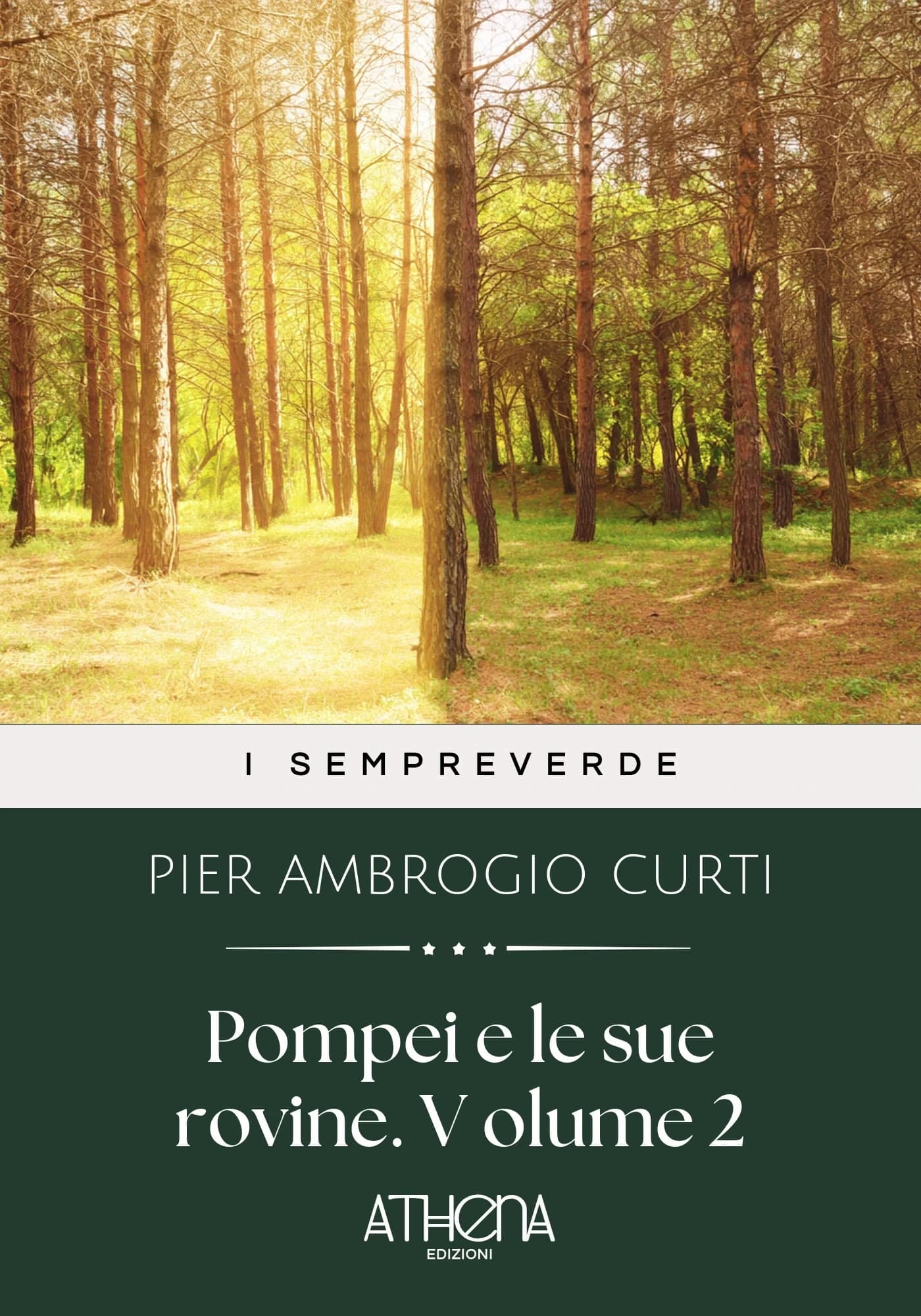 Pompei e le sue rovi