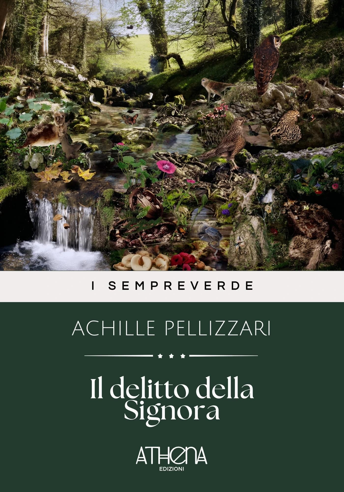 Il delitto della Sig