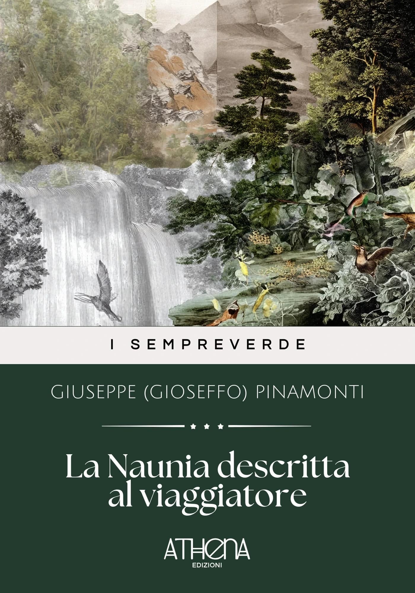 La Naunia descritta