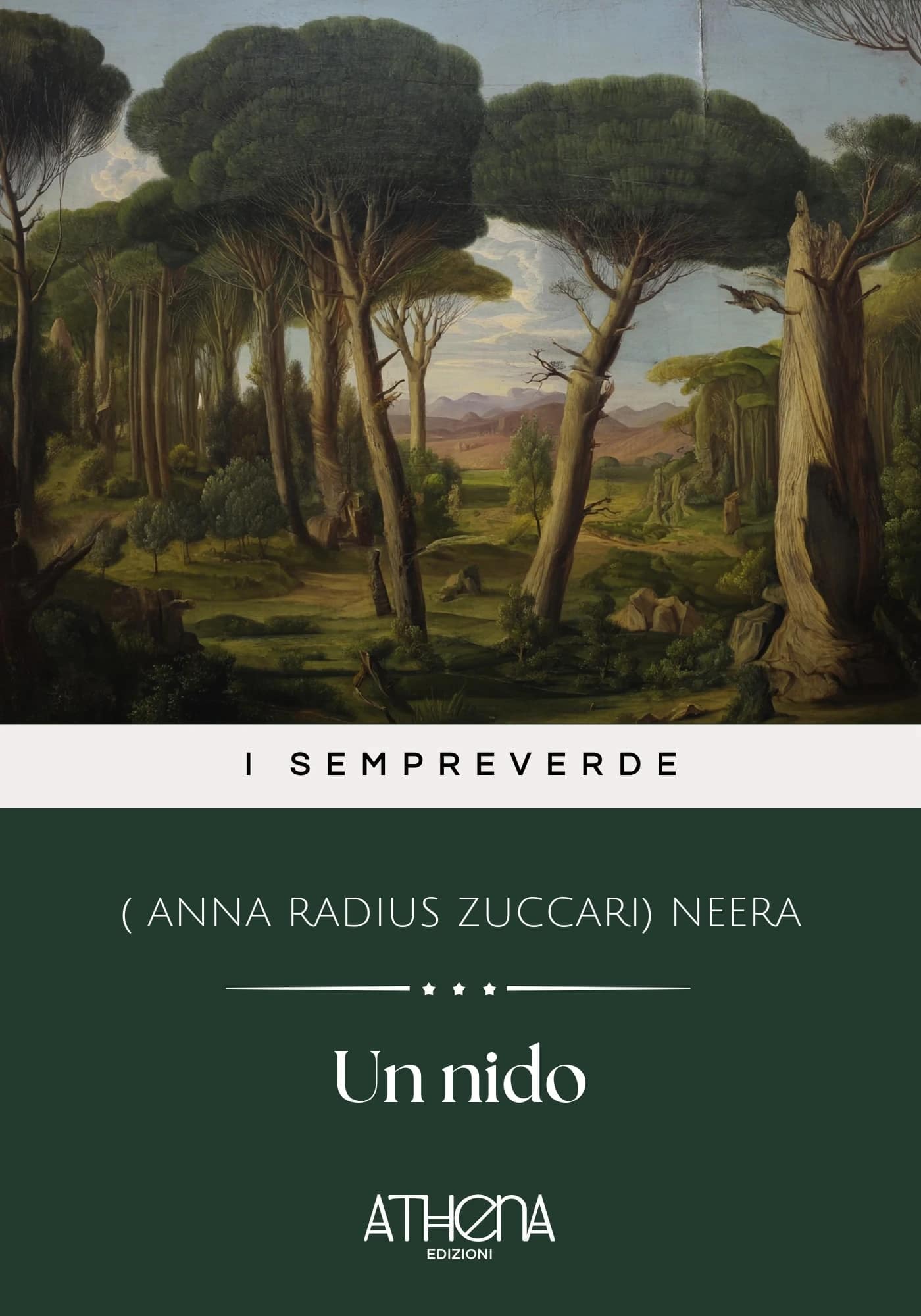 Un nido