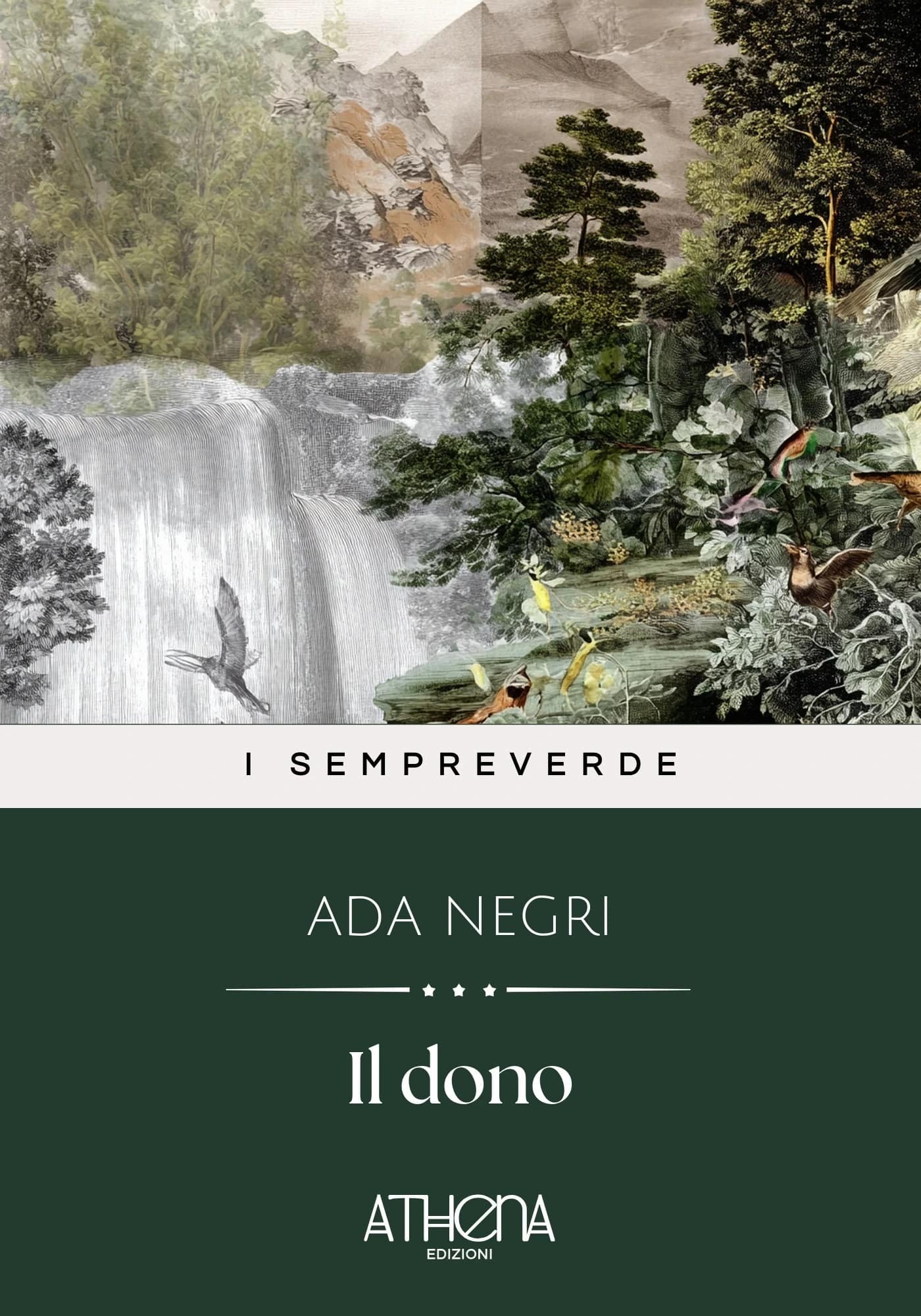Il dono