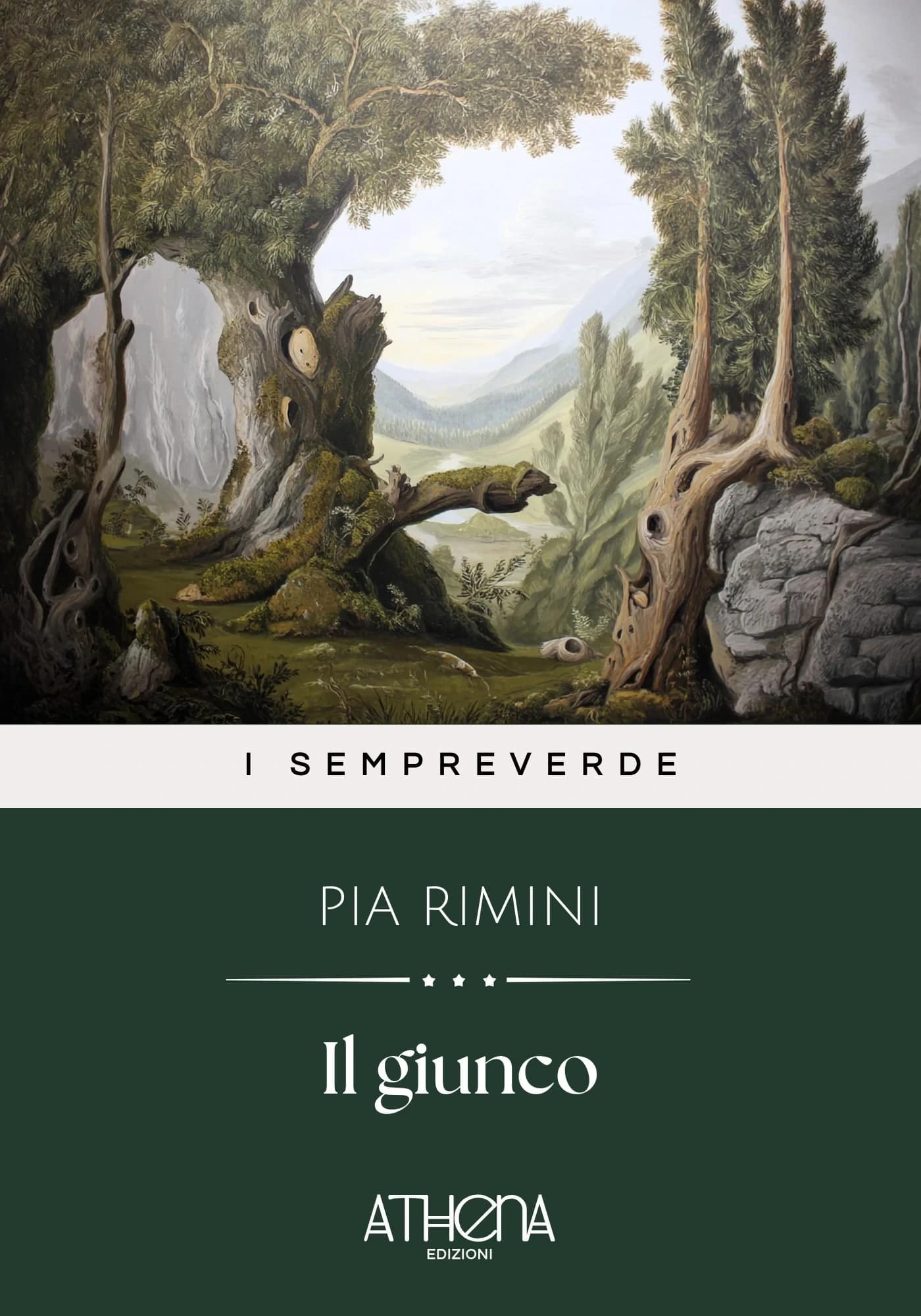 Il giunco