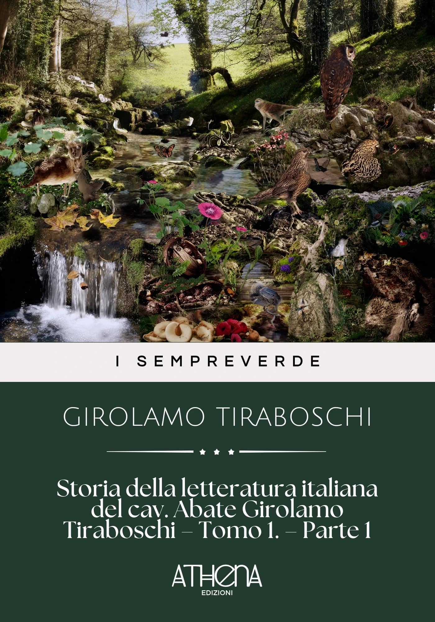 Storia della lettera