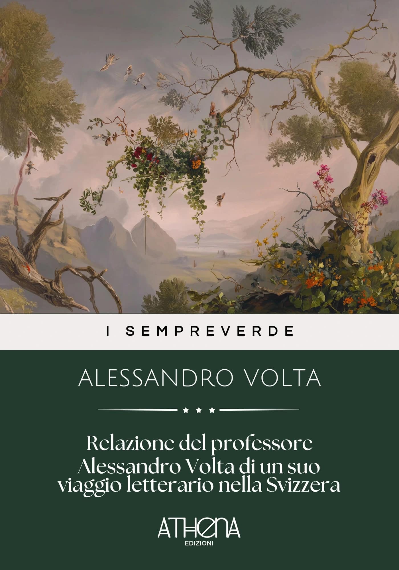 Relazione del profes