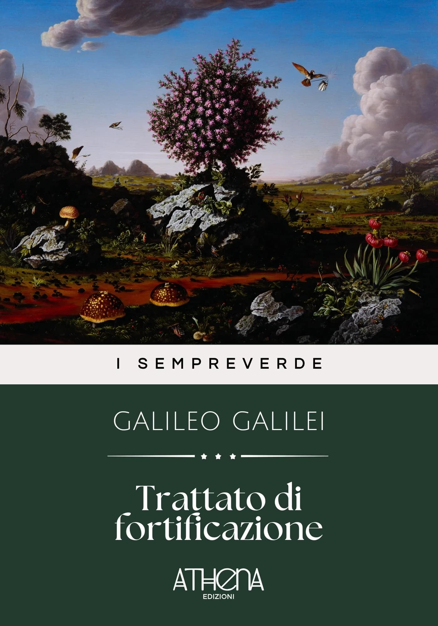 Trattato di fortific