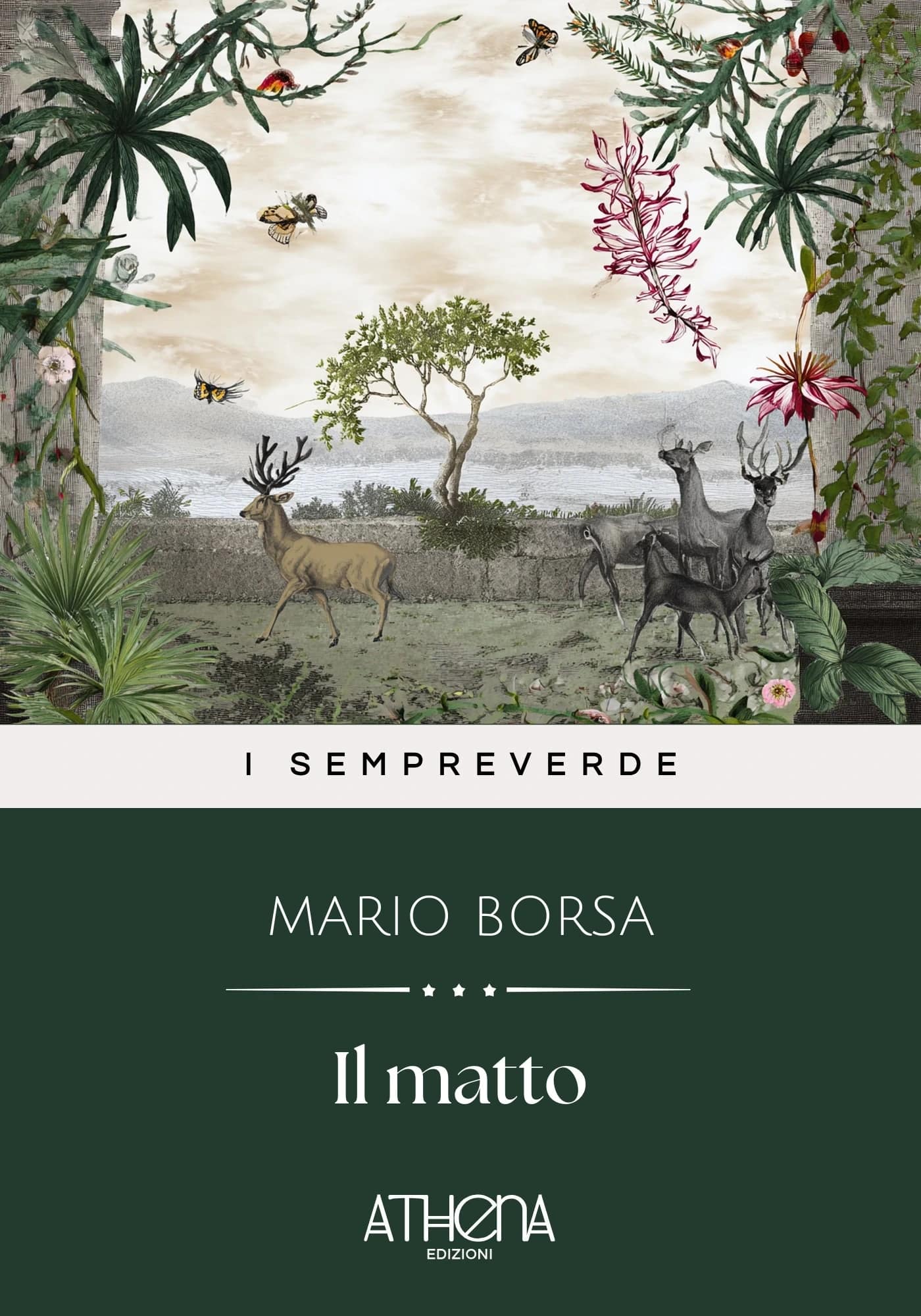 Il matto