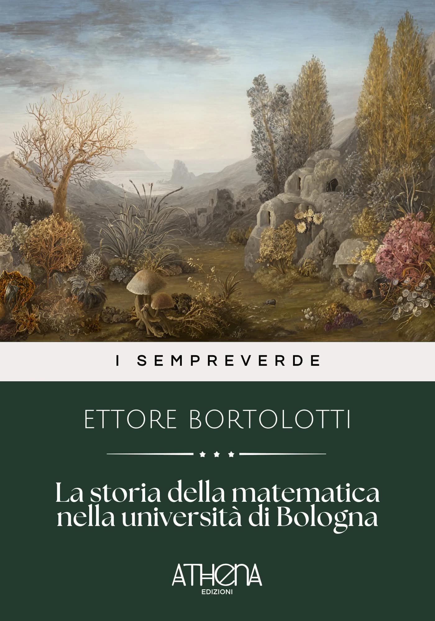 La storia della mate