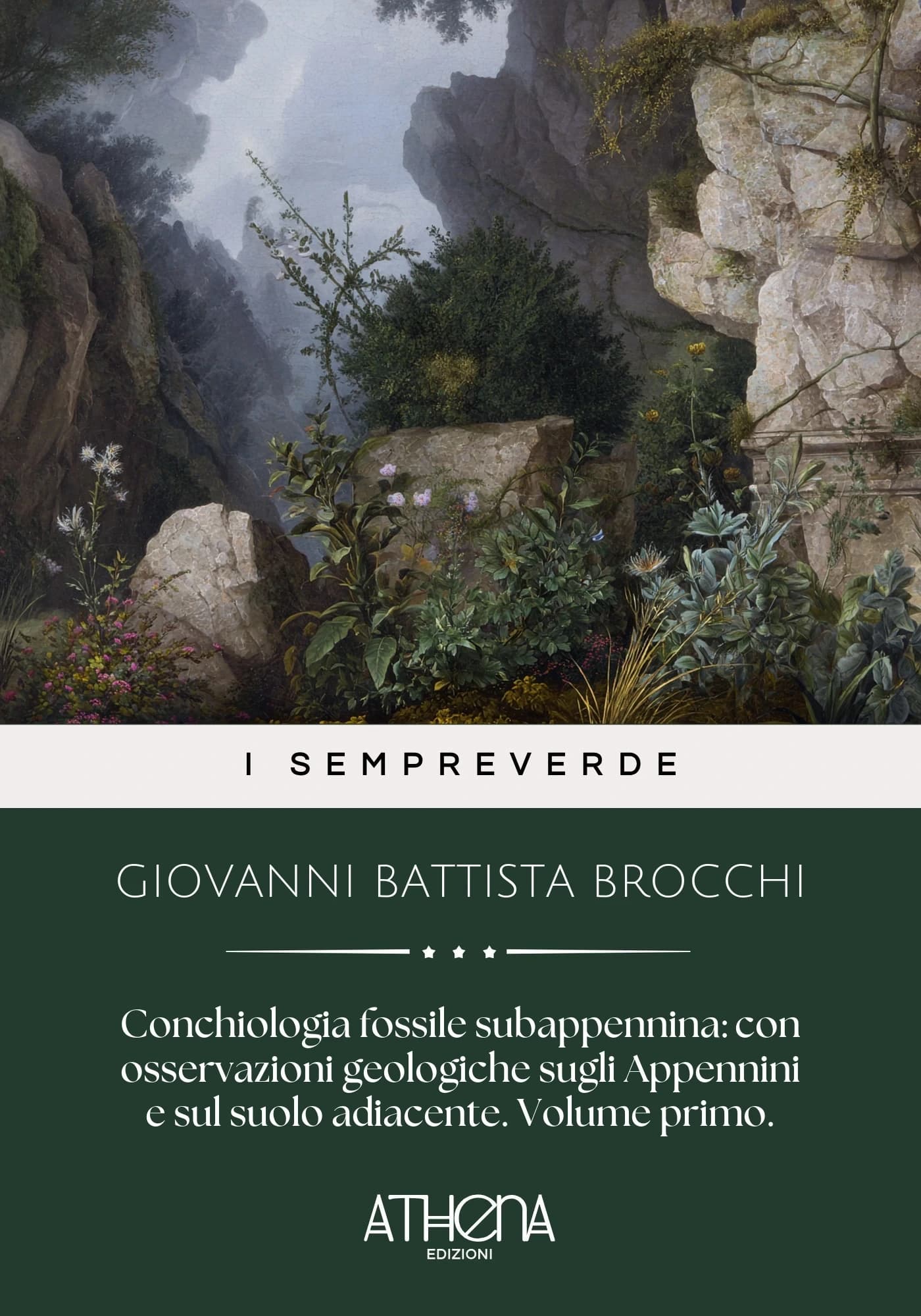 Copertina di Conchiologia fossile