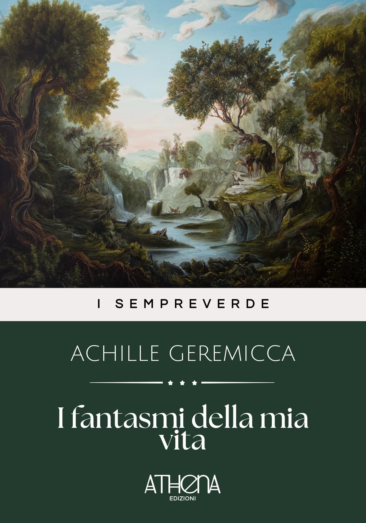 Copertina di I fantasmi della mia