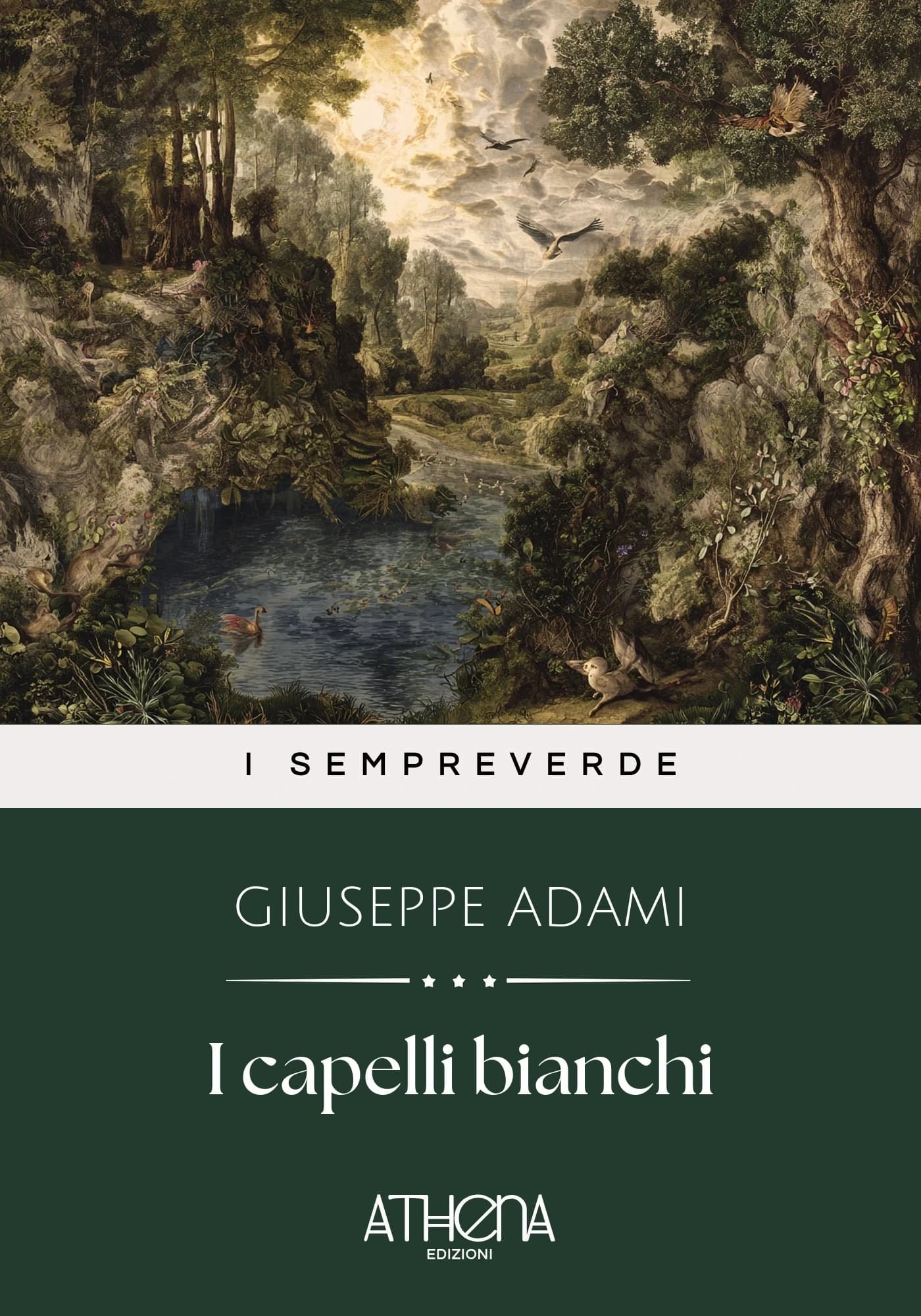 Copertina di I capelli bianchi