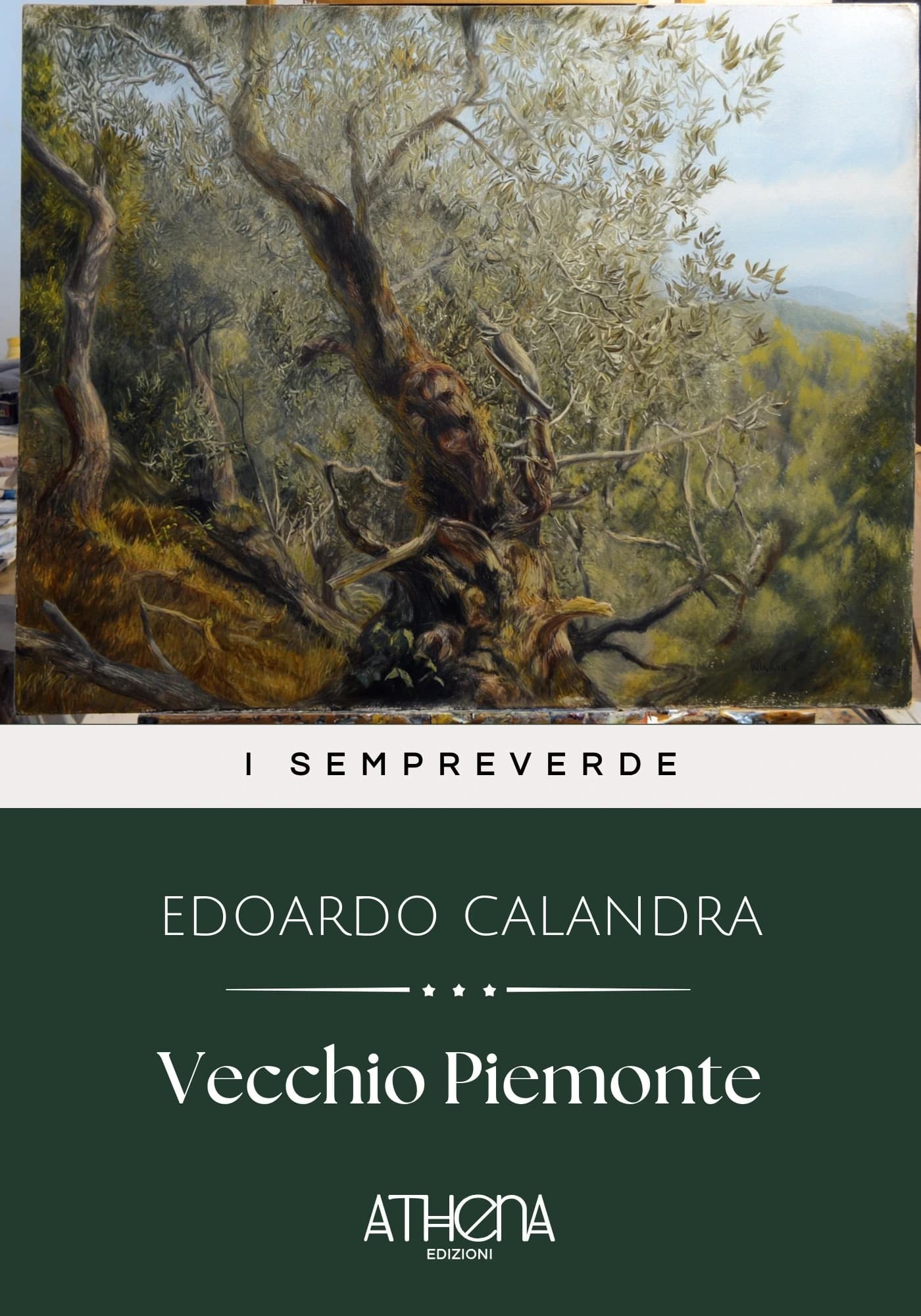Copertina di Vecchio Piemonte