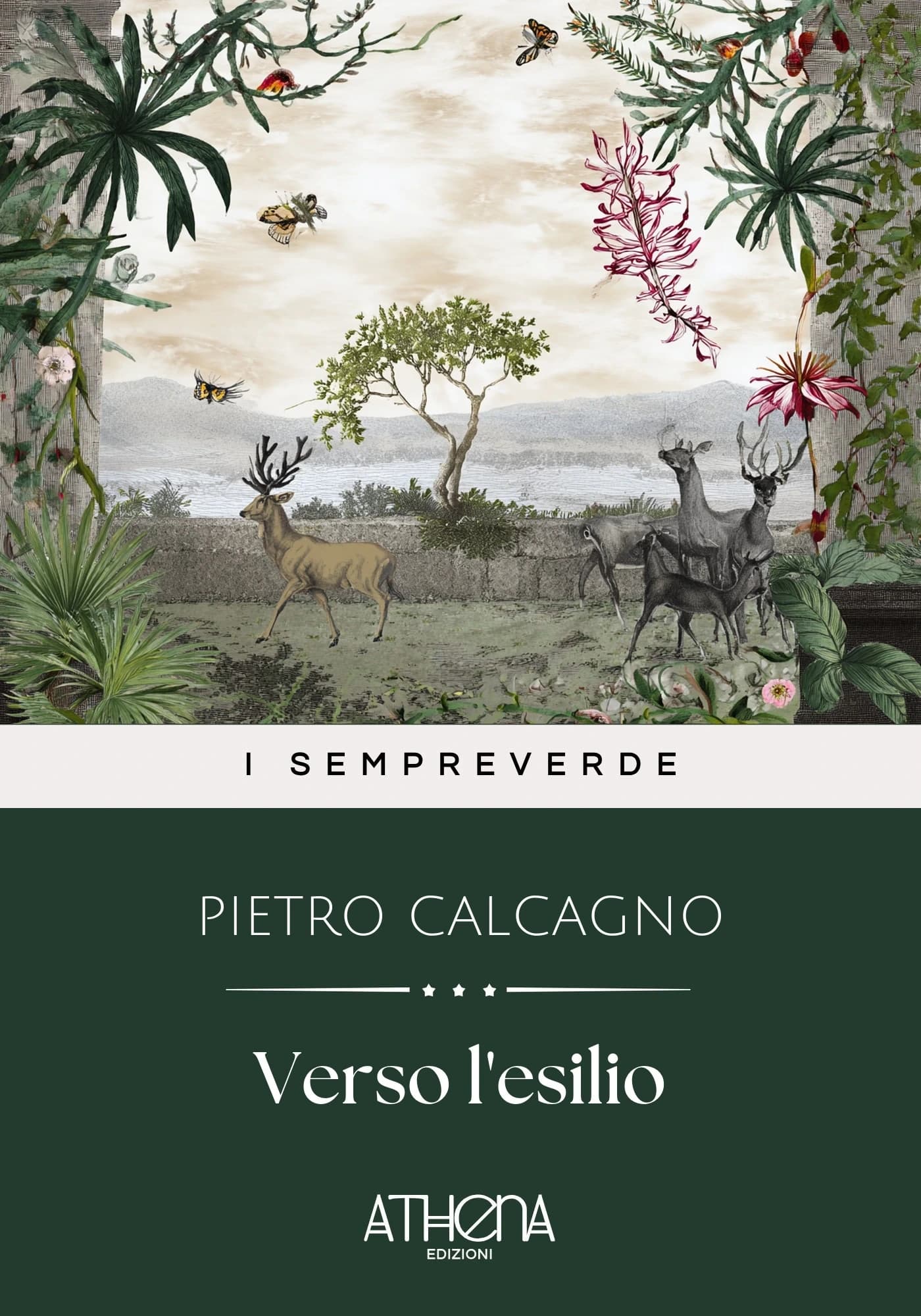 Copertina di Verso l'esilio