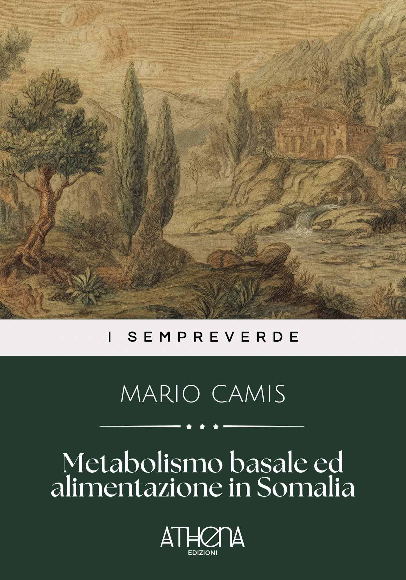 Copertina di Metabolismo basale e