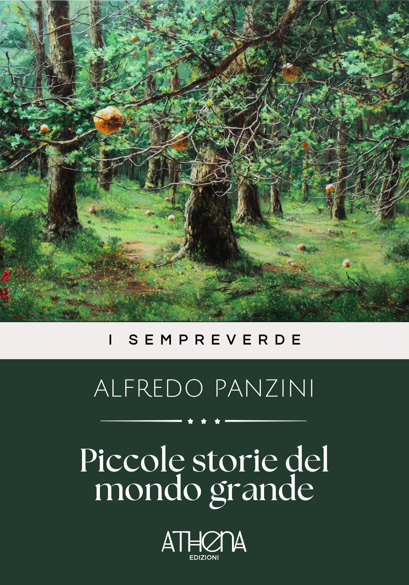 Copertina di Piccole storie del m