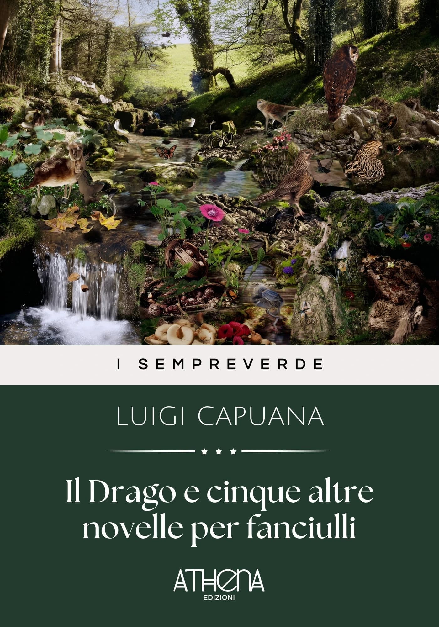 Copertina di Il Drago e cinque al