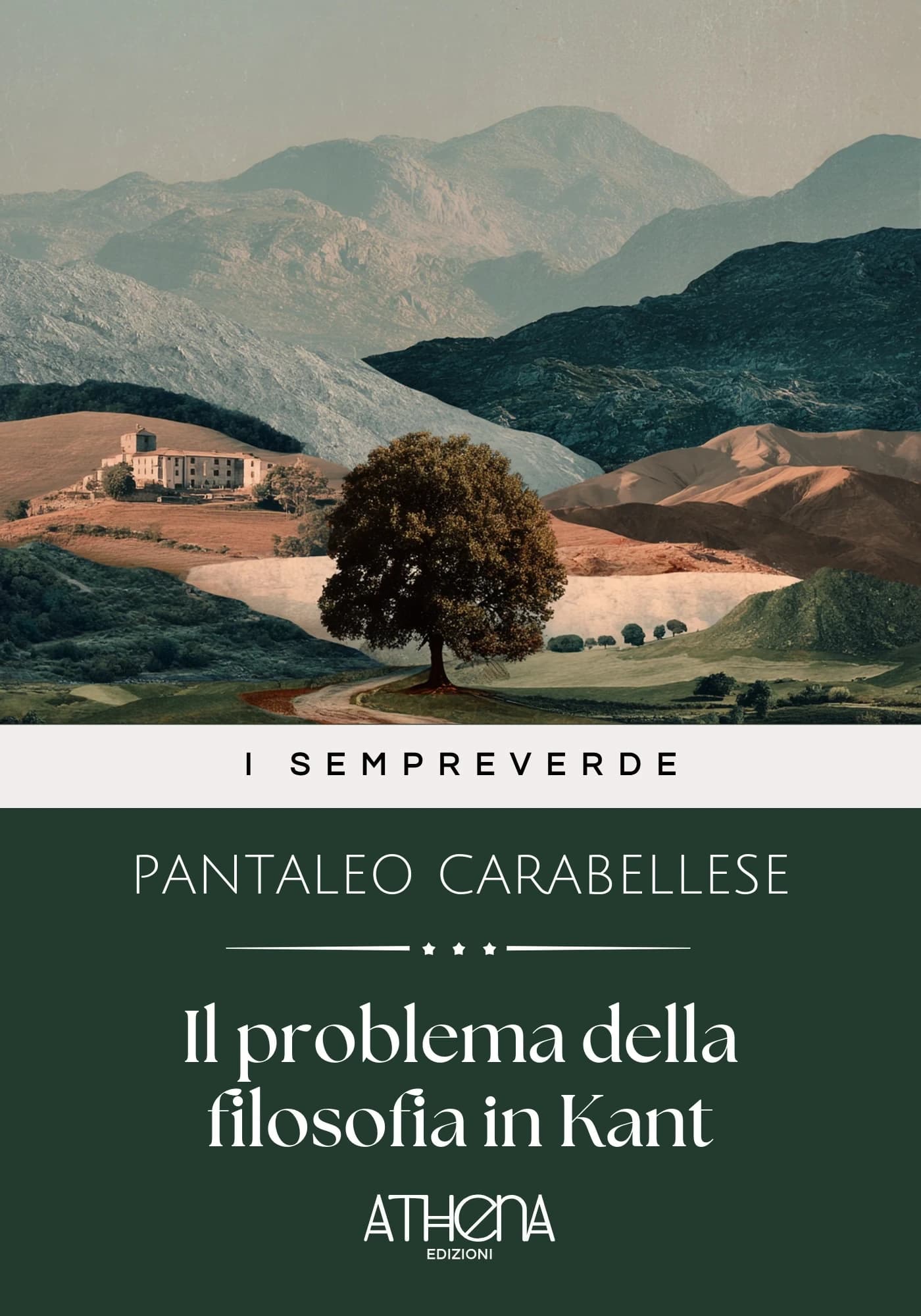 Copertina di Il problema della fi
