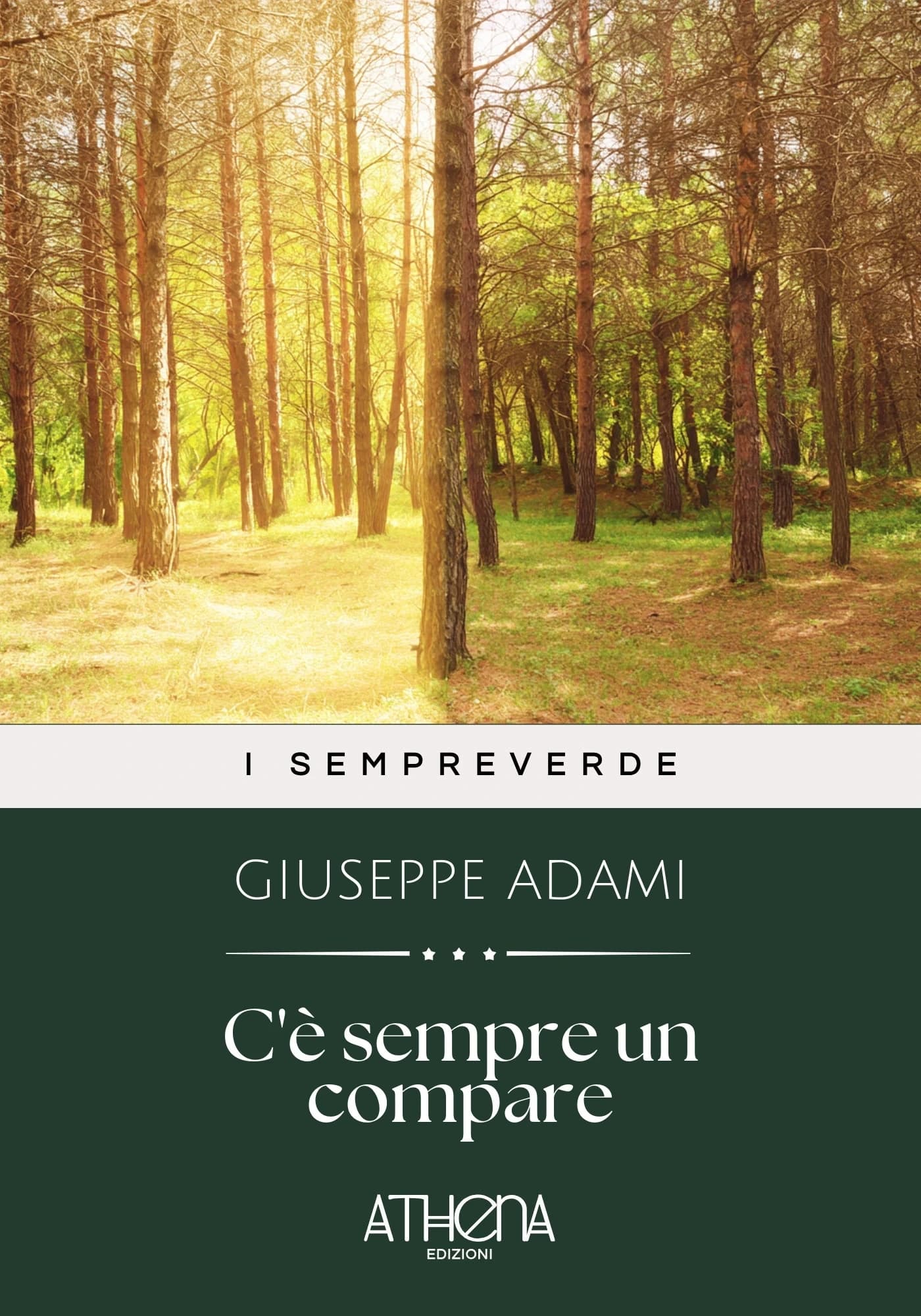 Copertina di C'è sempre un compar