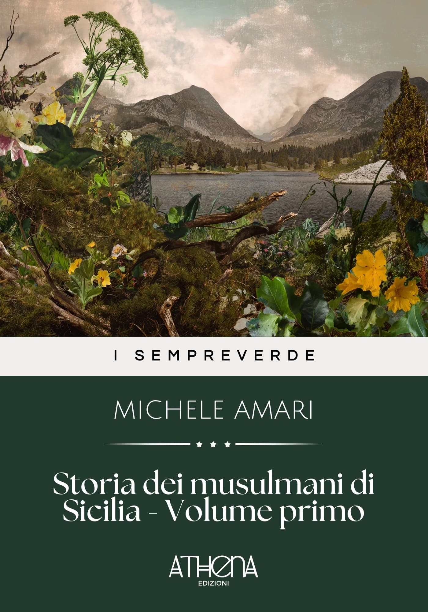 Copertina di Storia dei musulmani