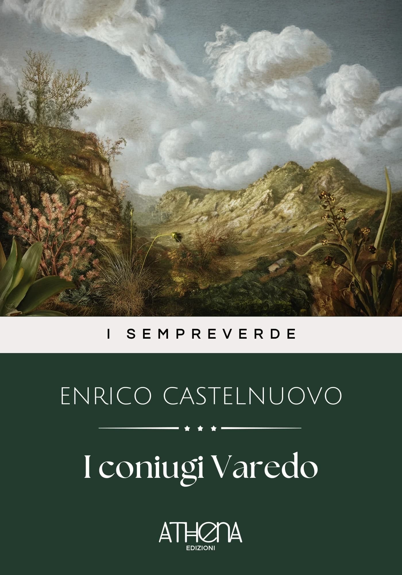 Copertina di I coniugi Varedo