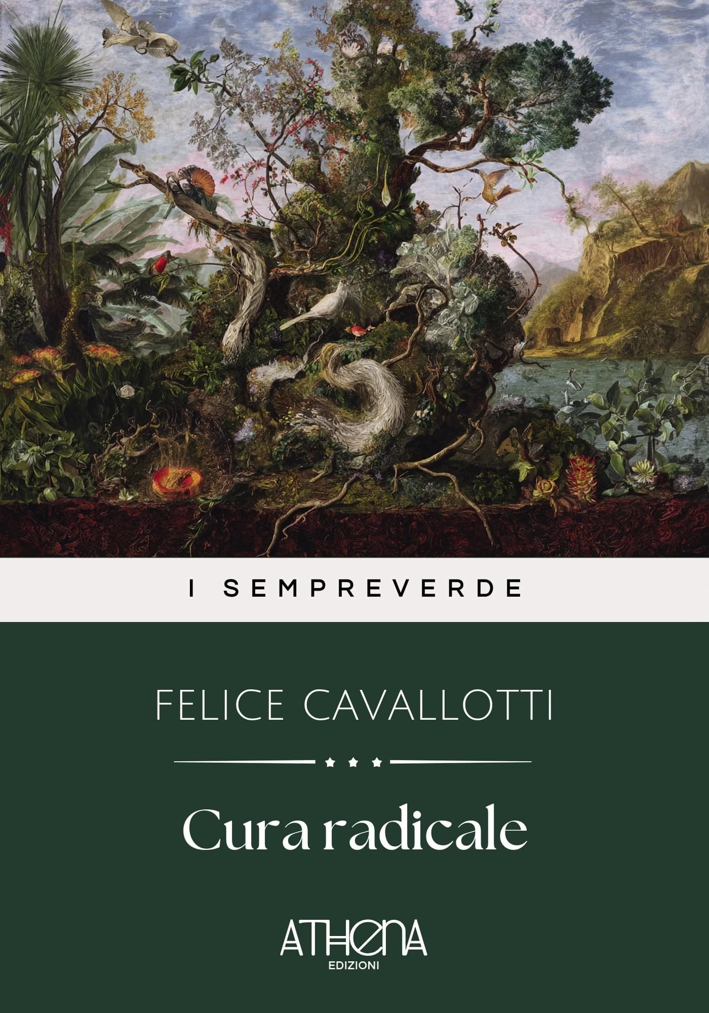 Copertina di Cura radicale