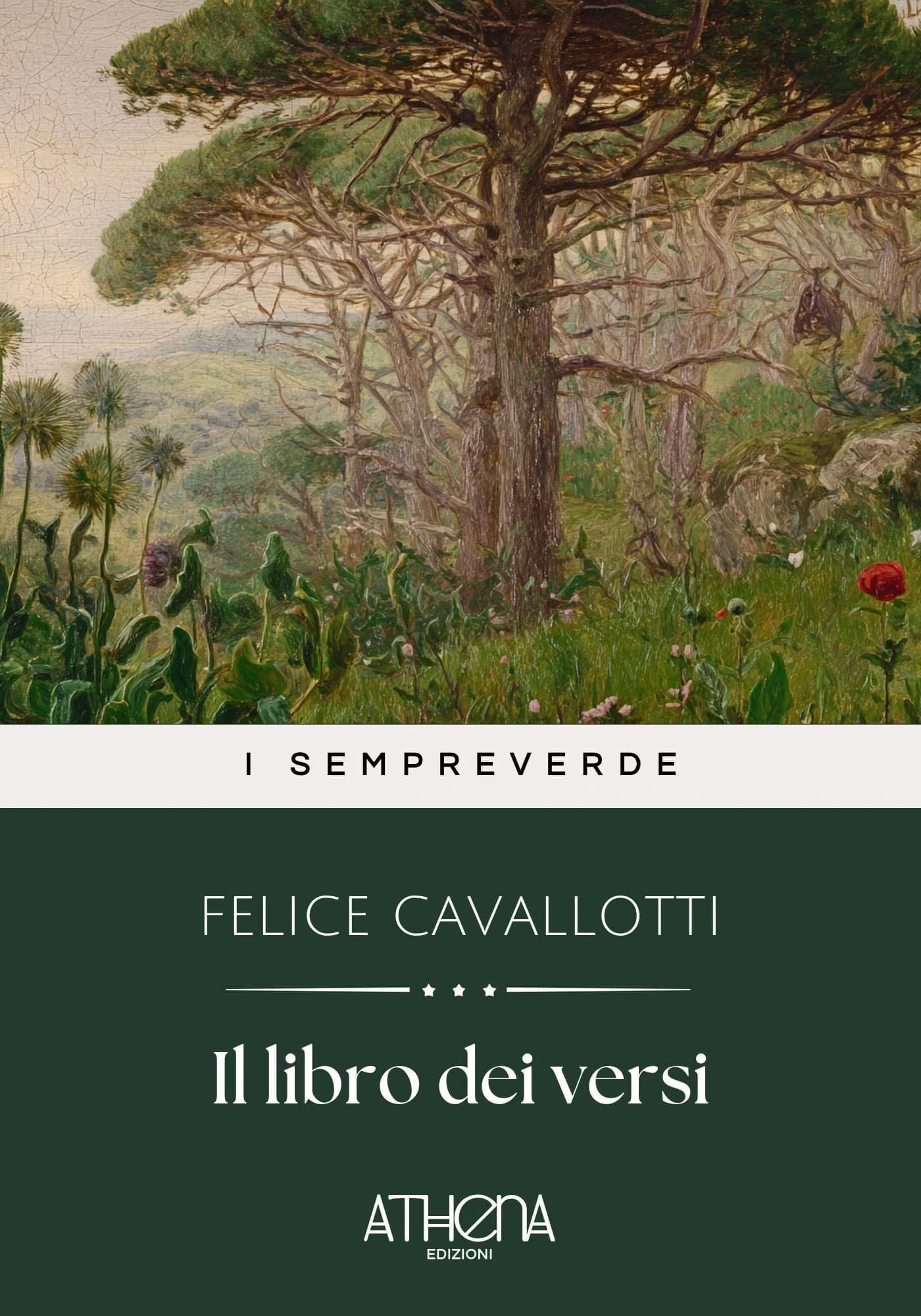 Copertina di Il libro dei versi