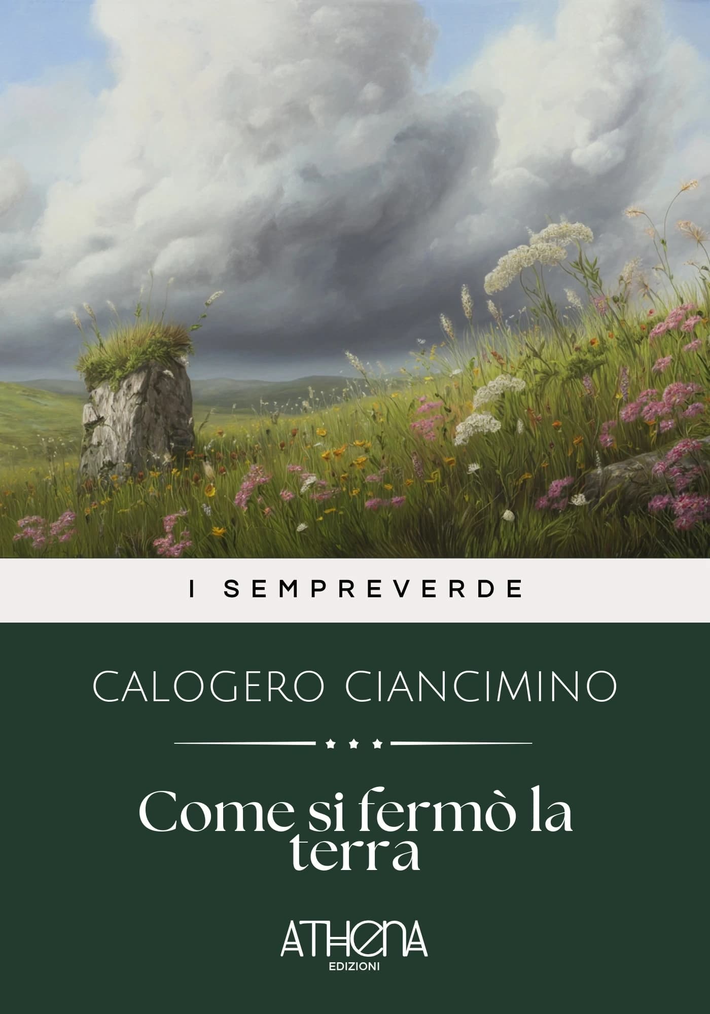 Copertina di Come si fermò la ter