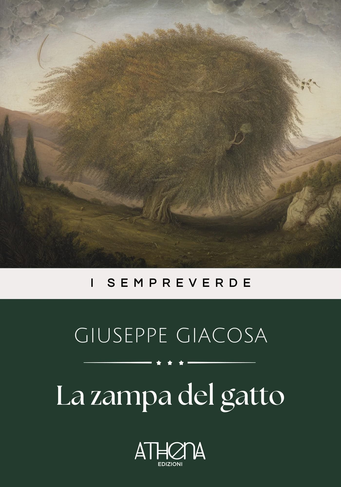 Copertina di La zampa del gatto