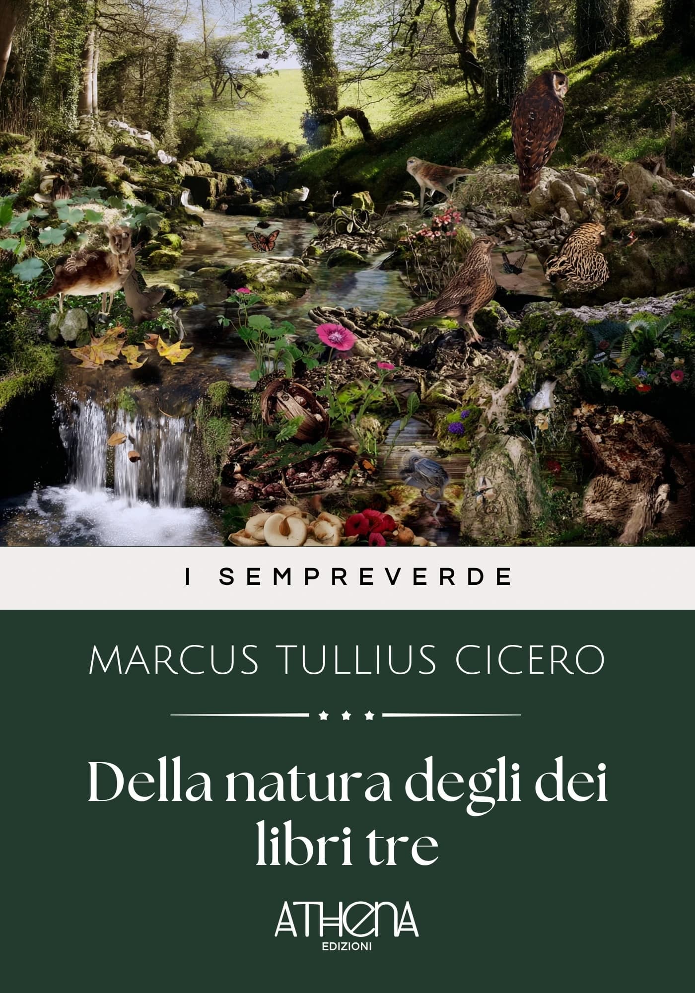 Copertina di Della natura degli d