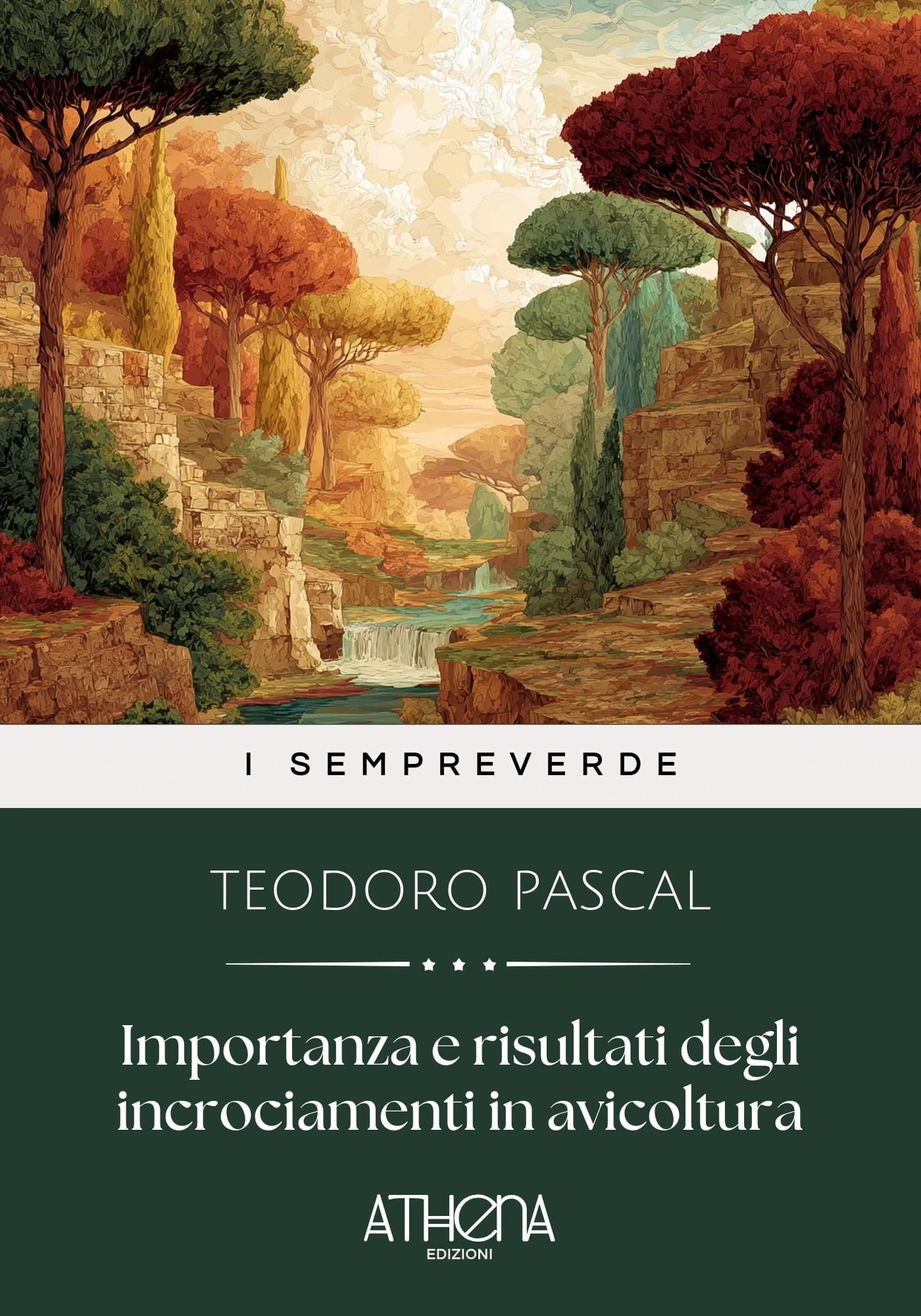 Copertina di Importanza e risulta