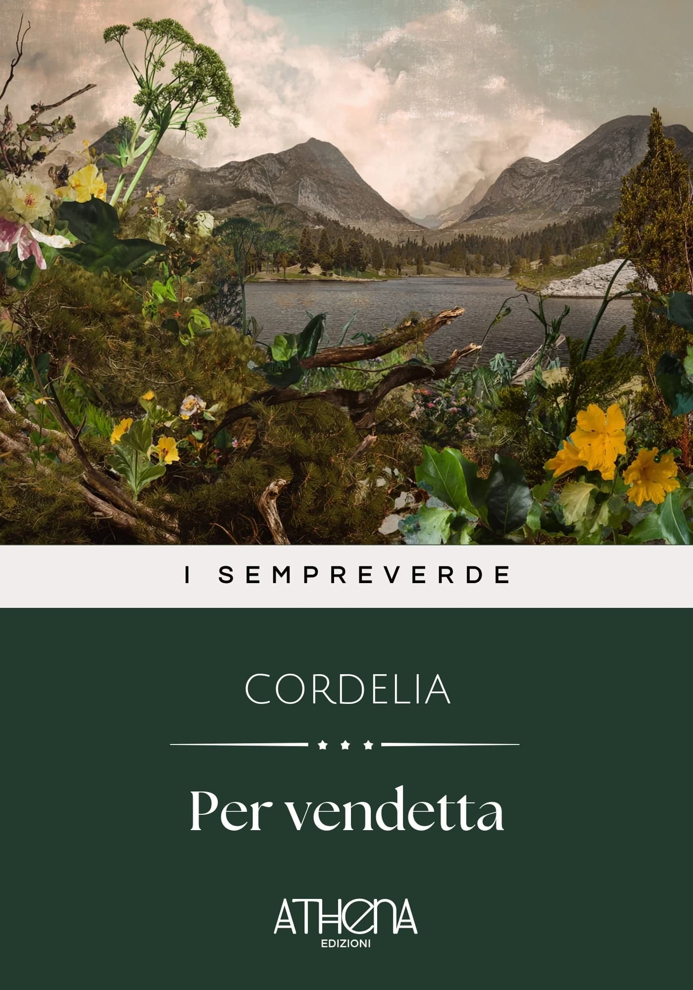 Copertina di Per vendetta