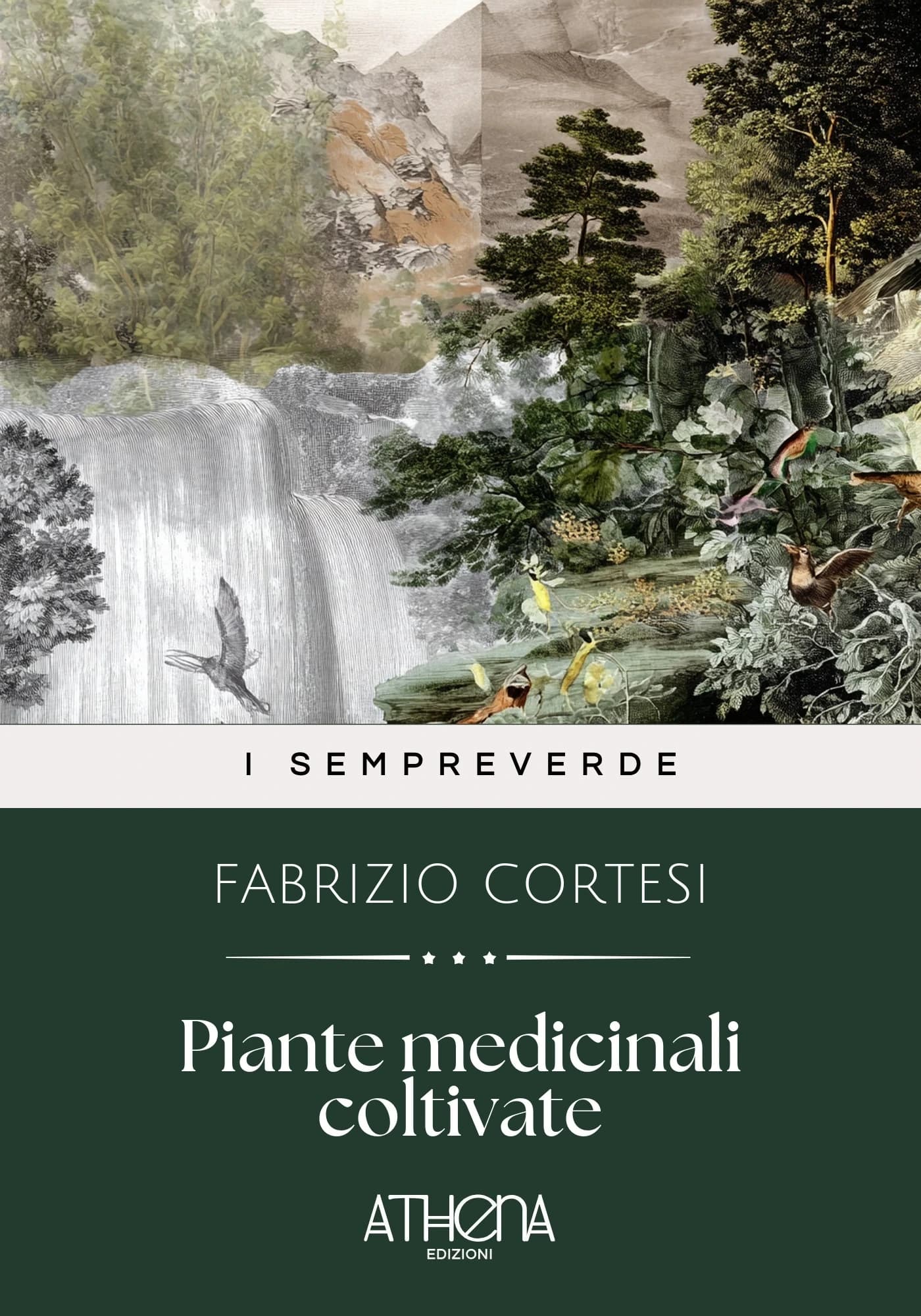 Copertina di Piante medicinali co