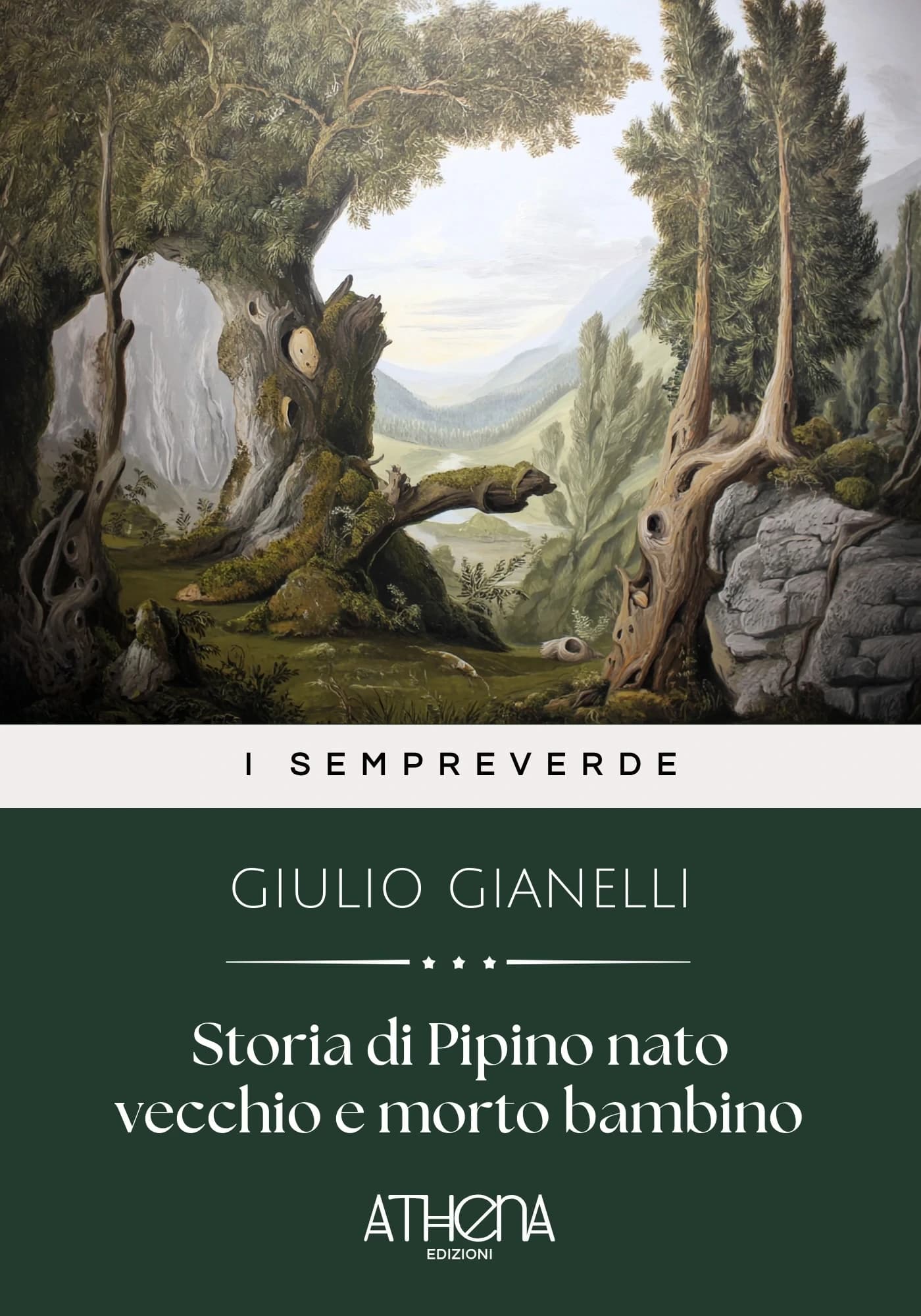 Copertina di Storia di Pipino nat