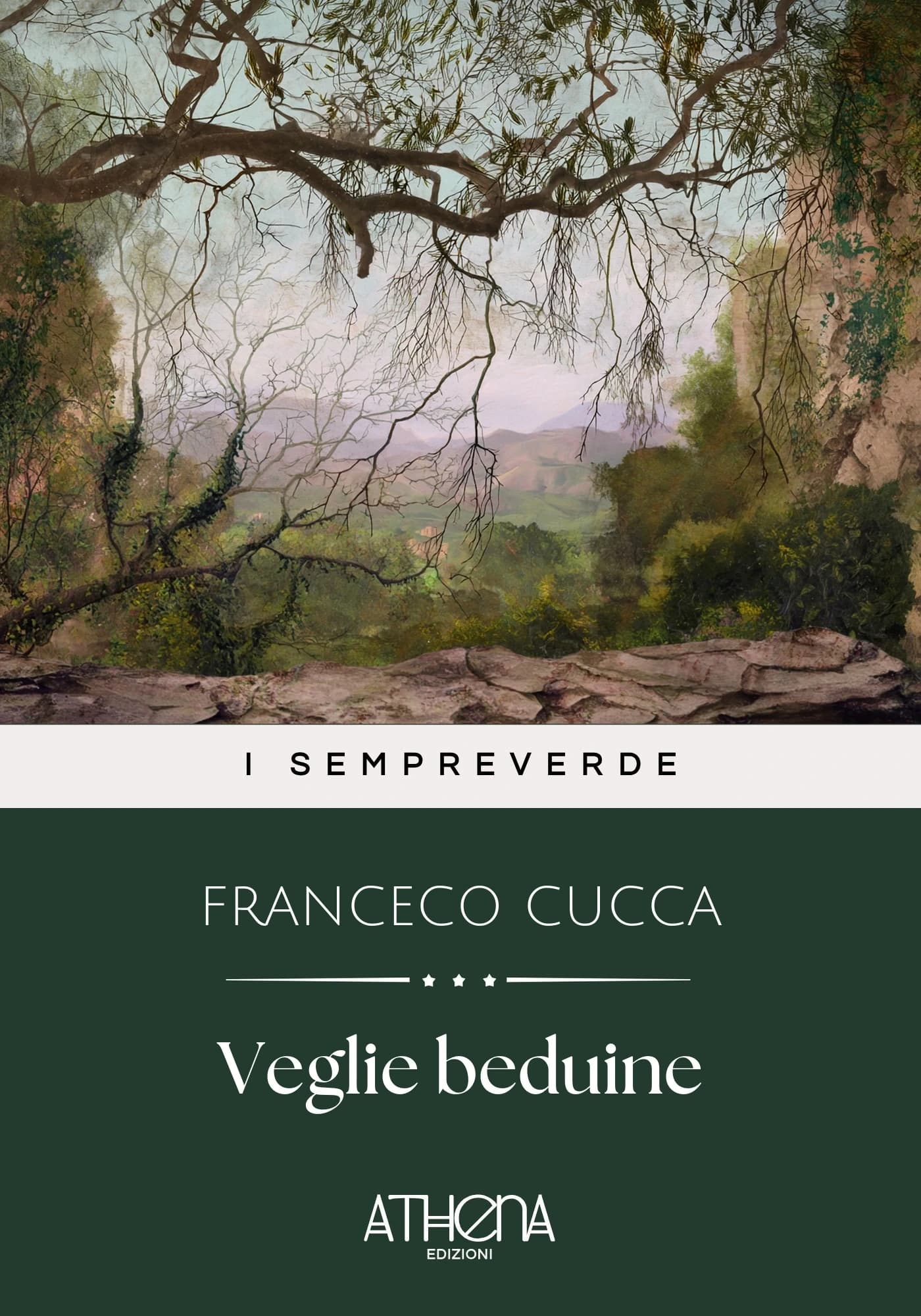 Copertina di Veglie beduine