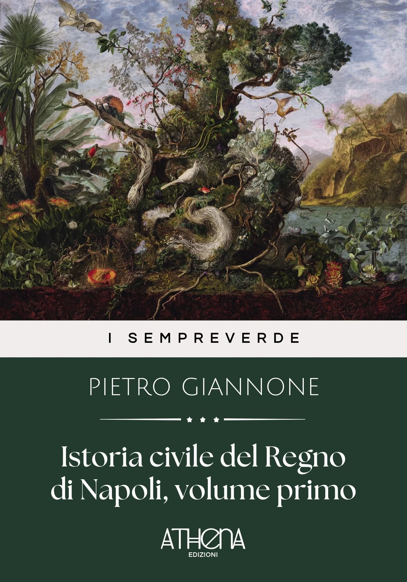 Copertina di Istoria civile del R