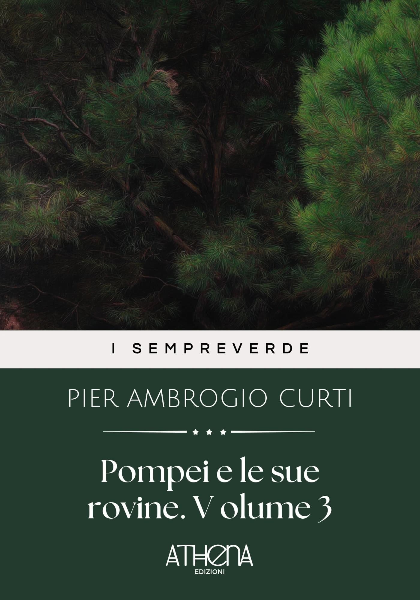 Copertina di Pompei e le sue rovi