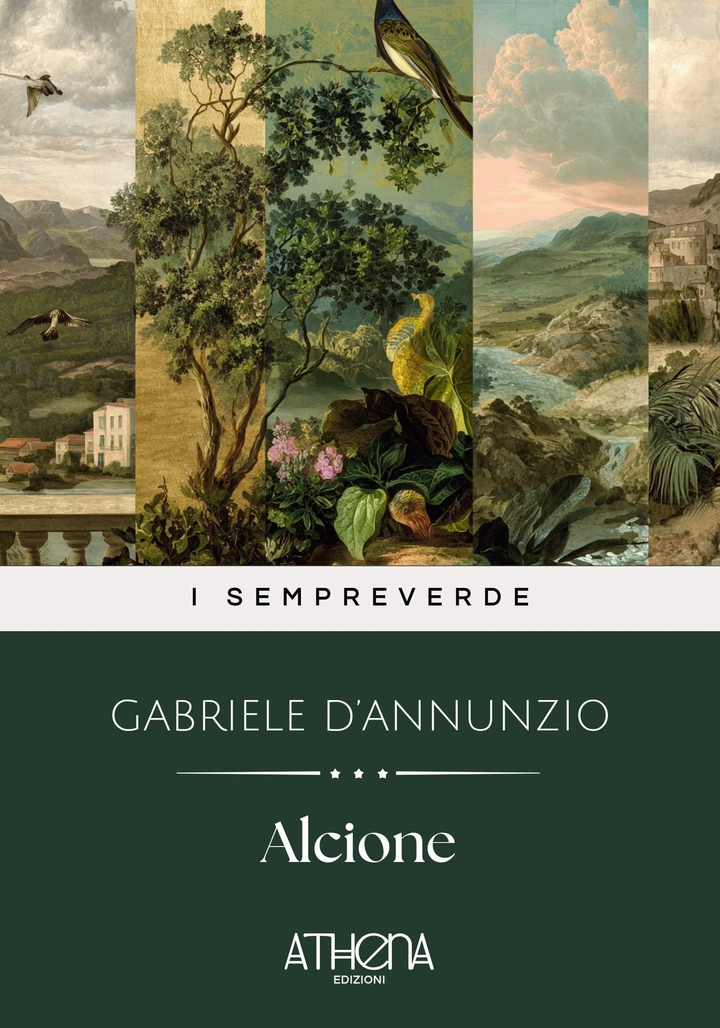 Copertina di Alcione