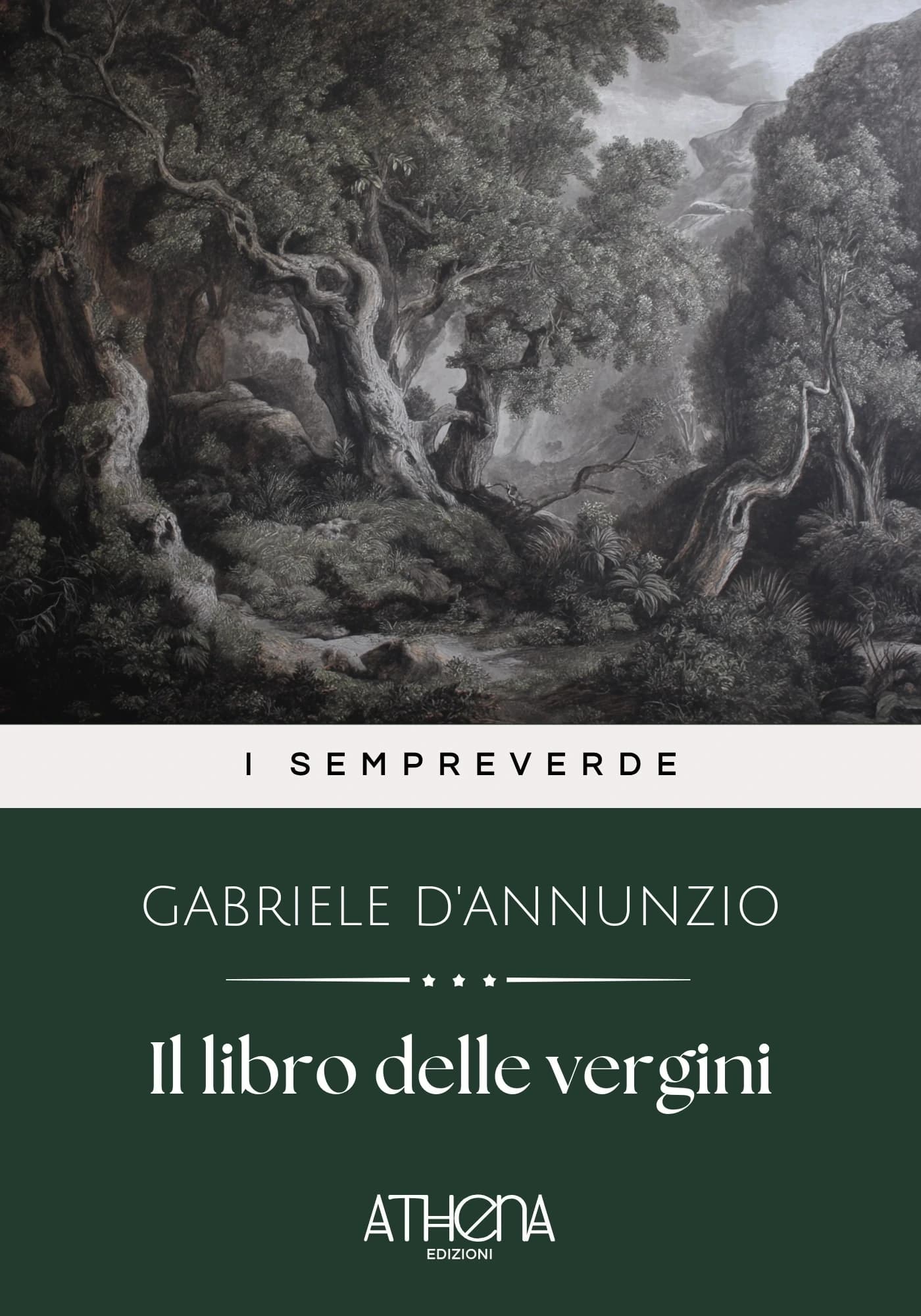 Copertina di Il libro delle vergi