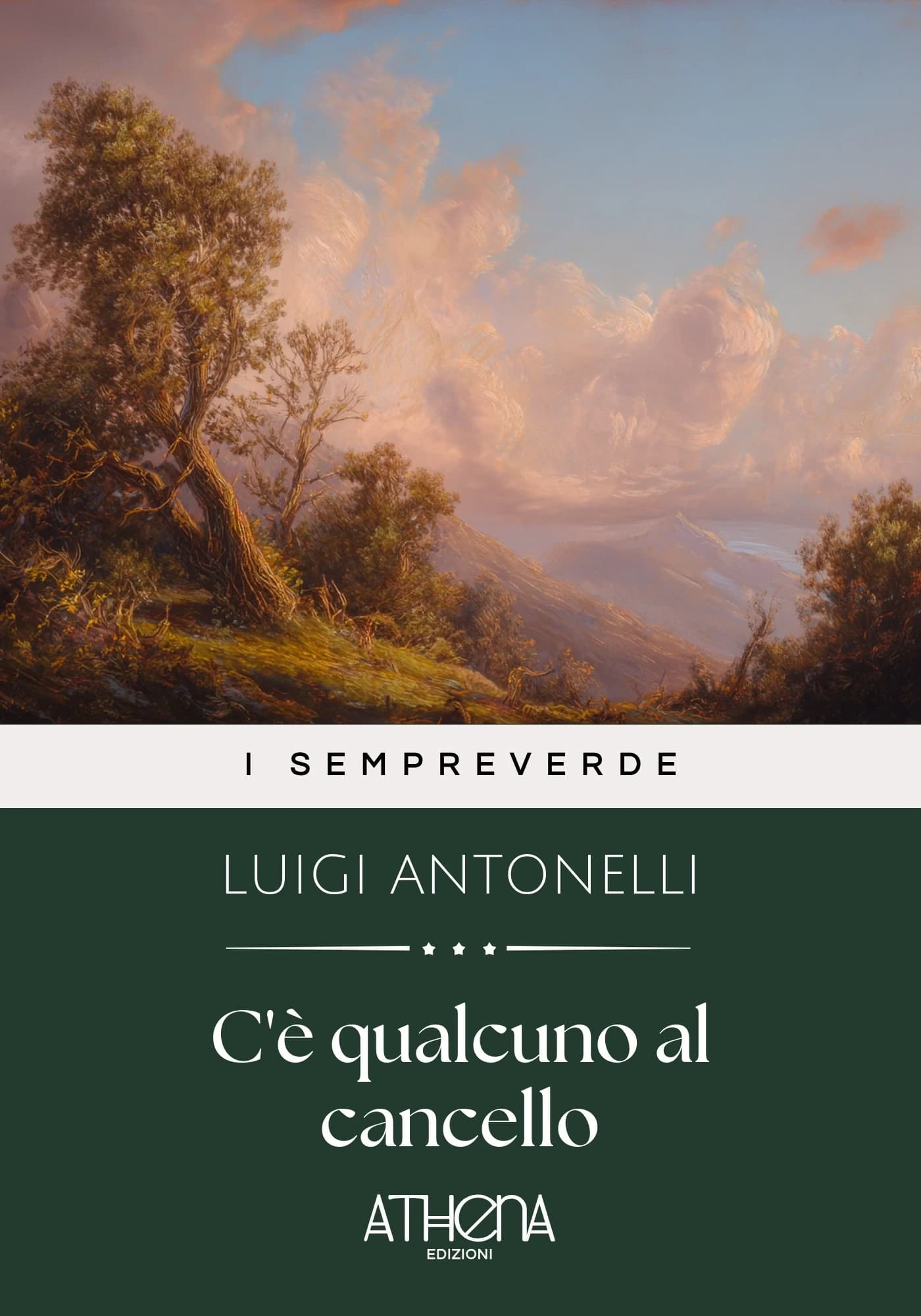 Copertina di C'è qualcuno al canc