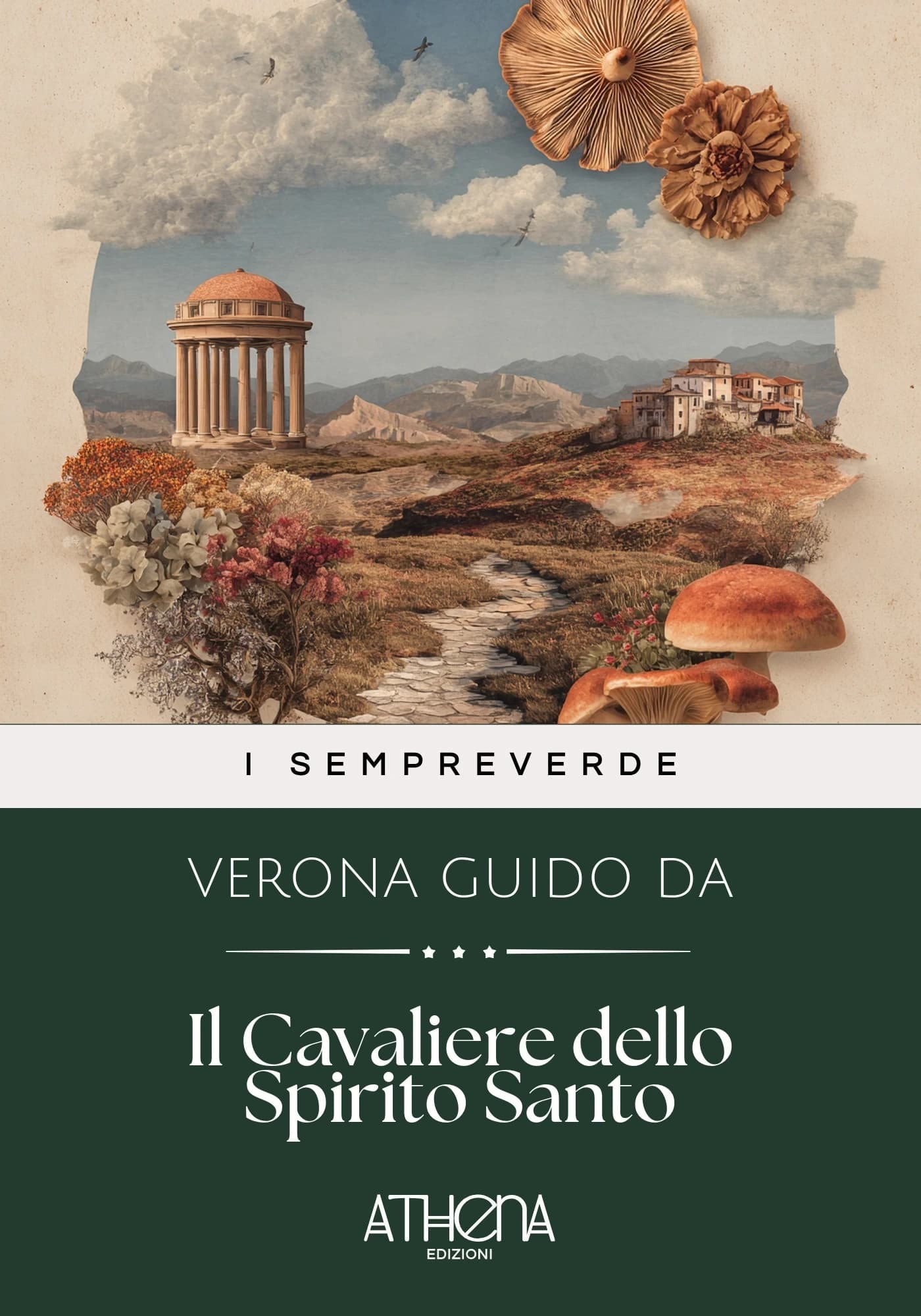 Copertina di Il Cavaliere dello S