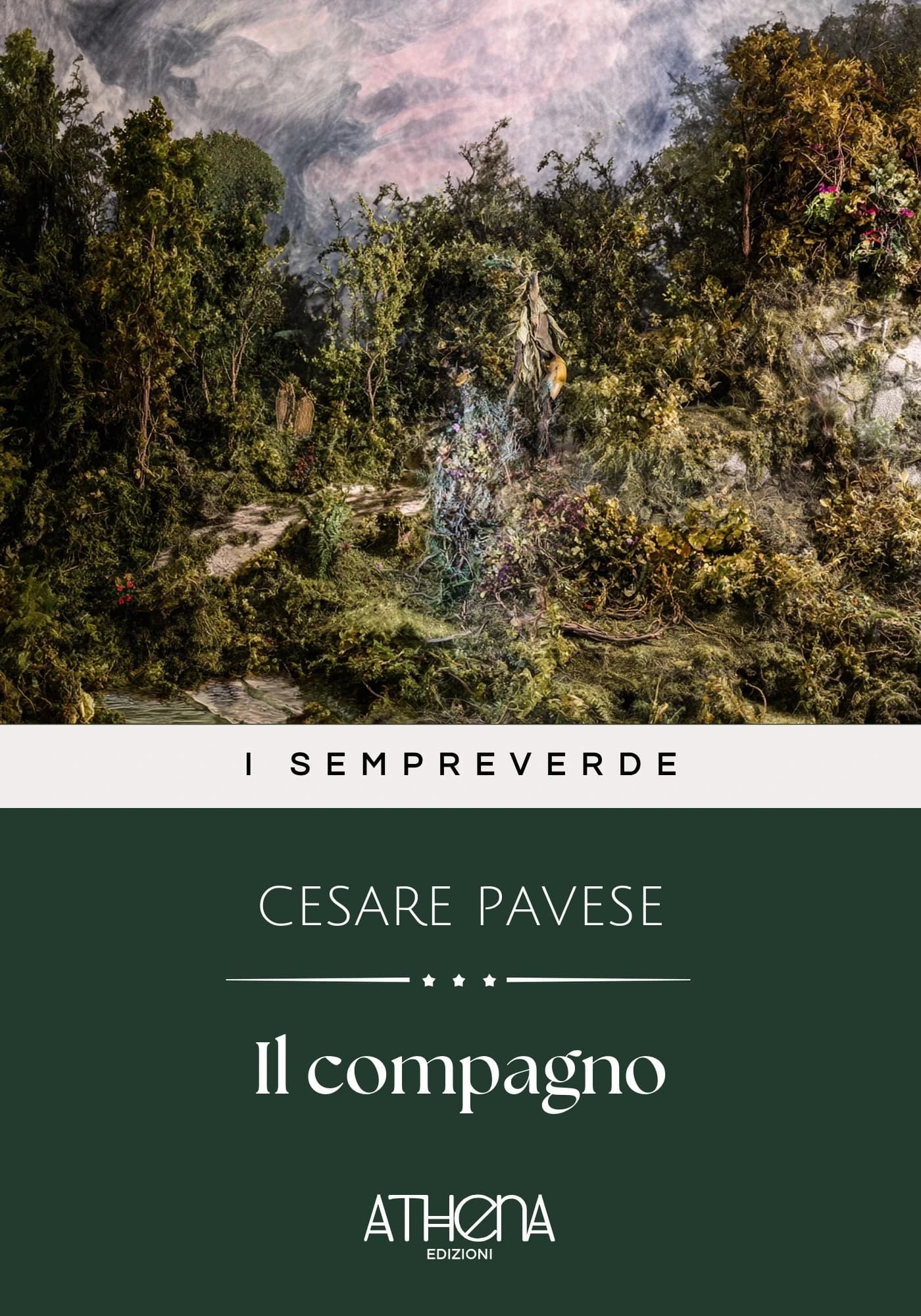 Copertina di Il compagno