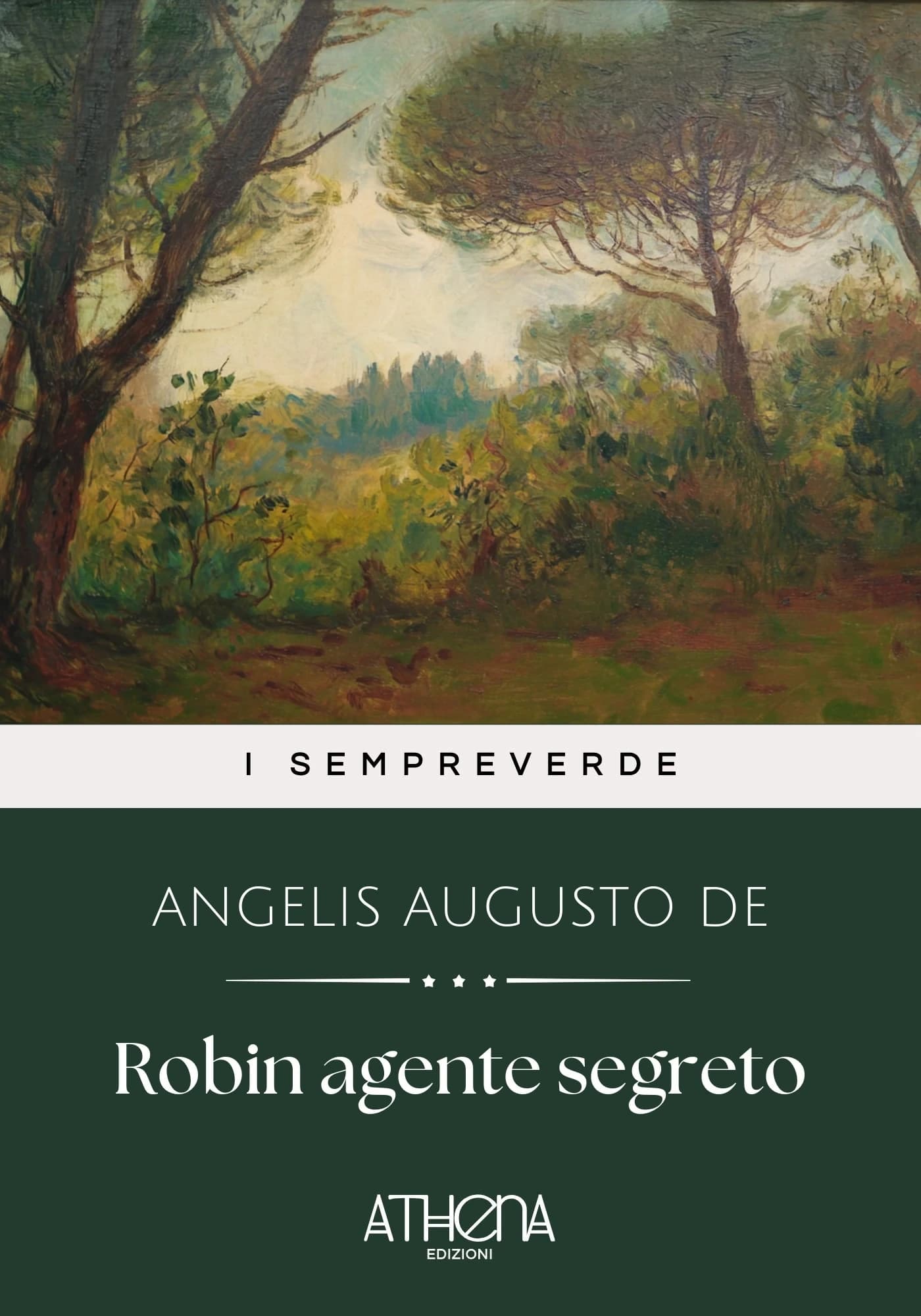 Copertina di Robin agente segreto
