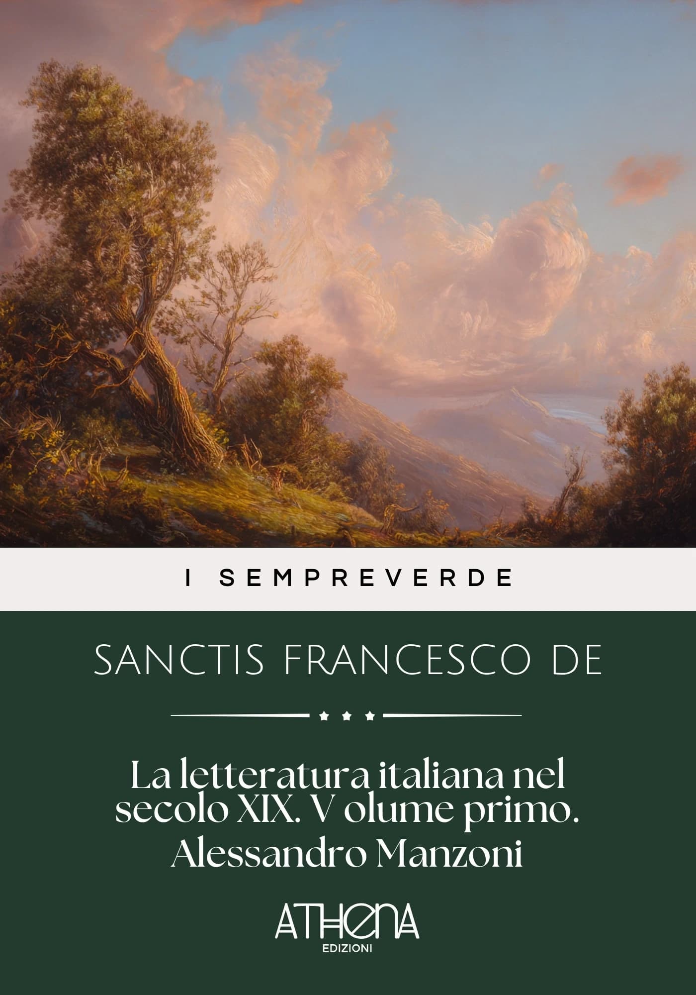 Copertina di La letteratura itali
