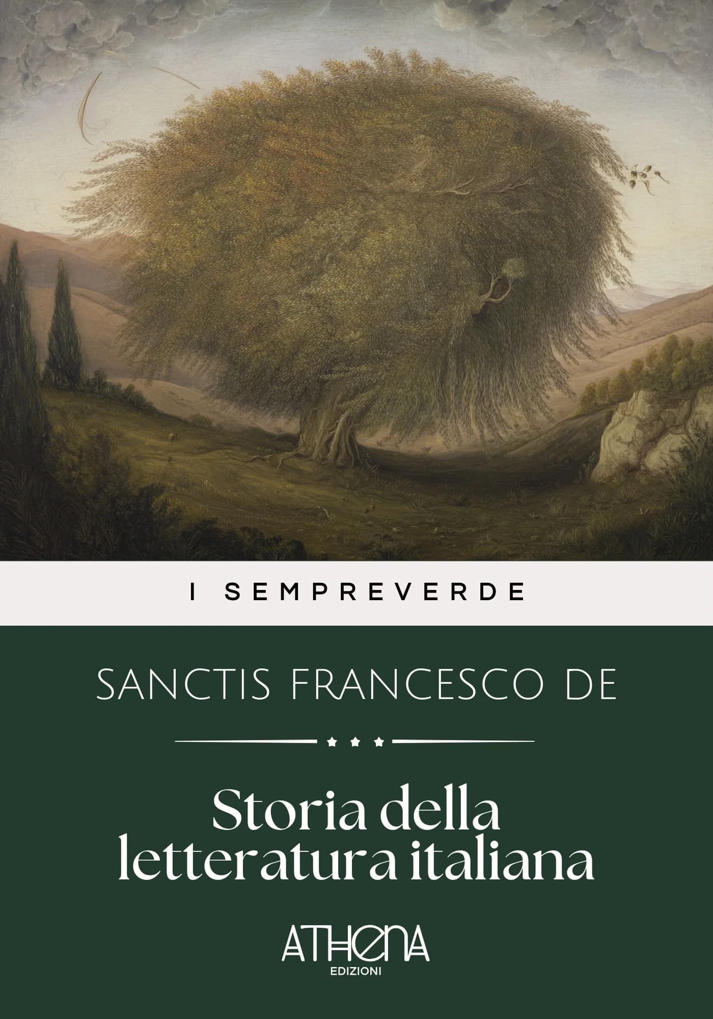 Copertina di Storia della lettera