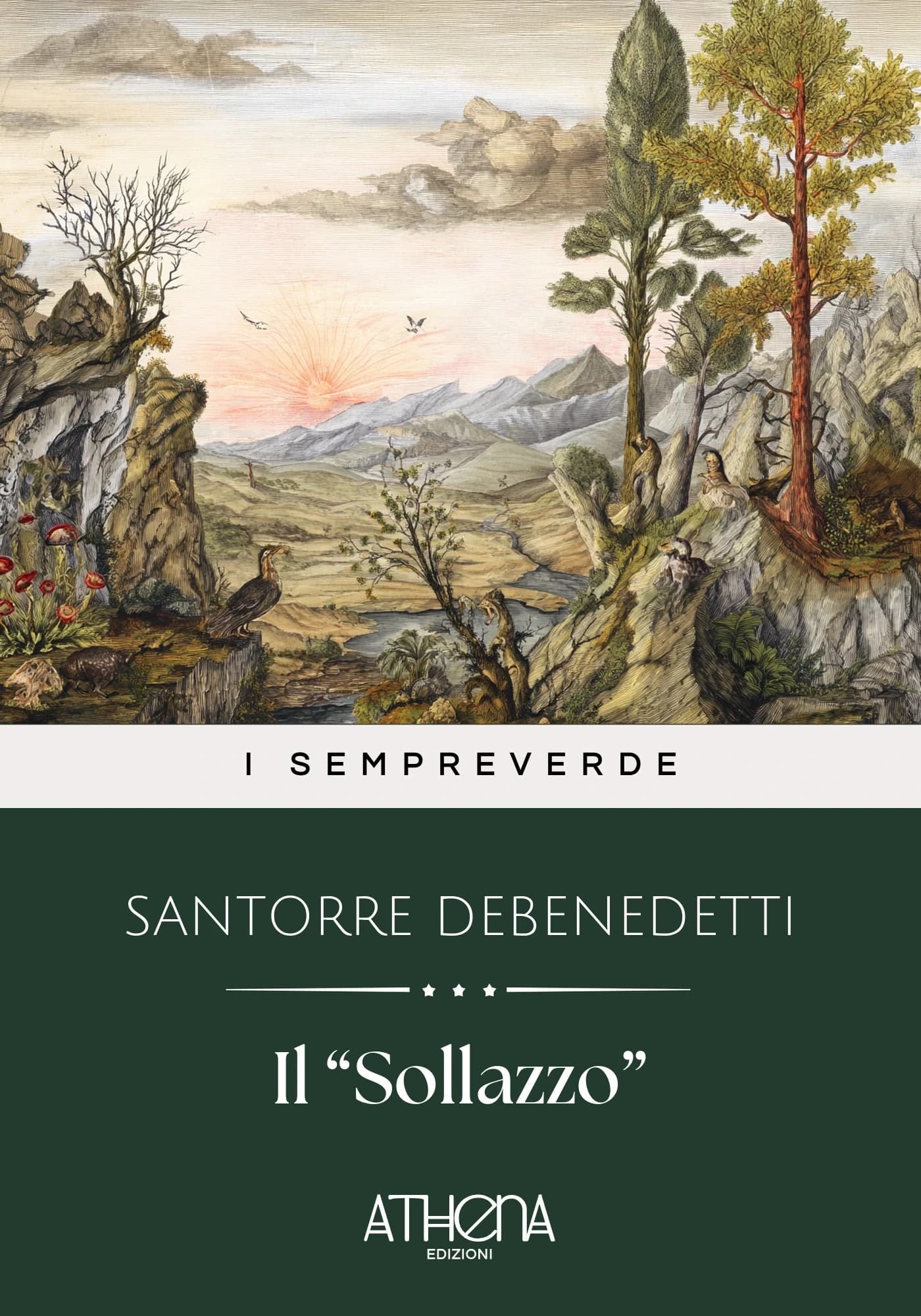 Copertina di Il “Sollazzo”