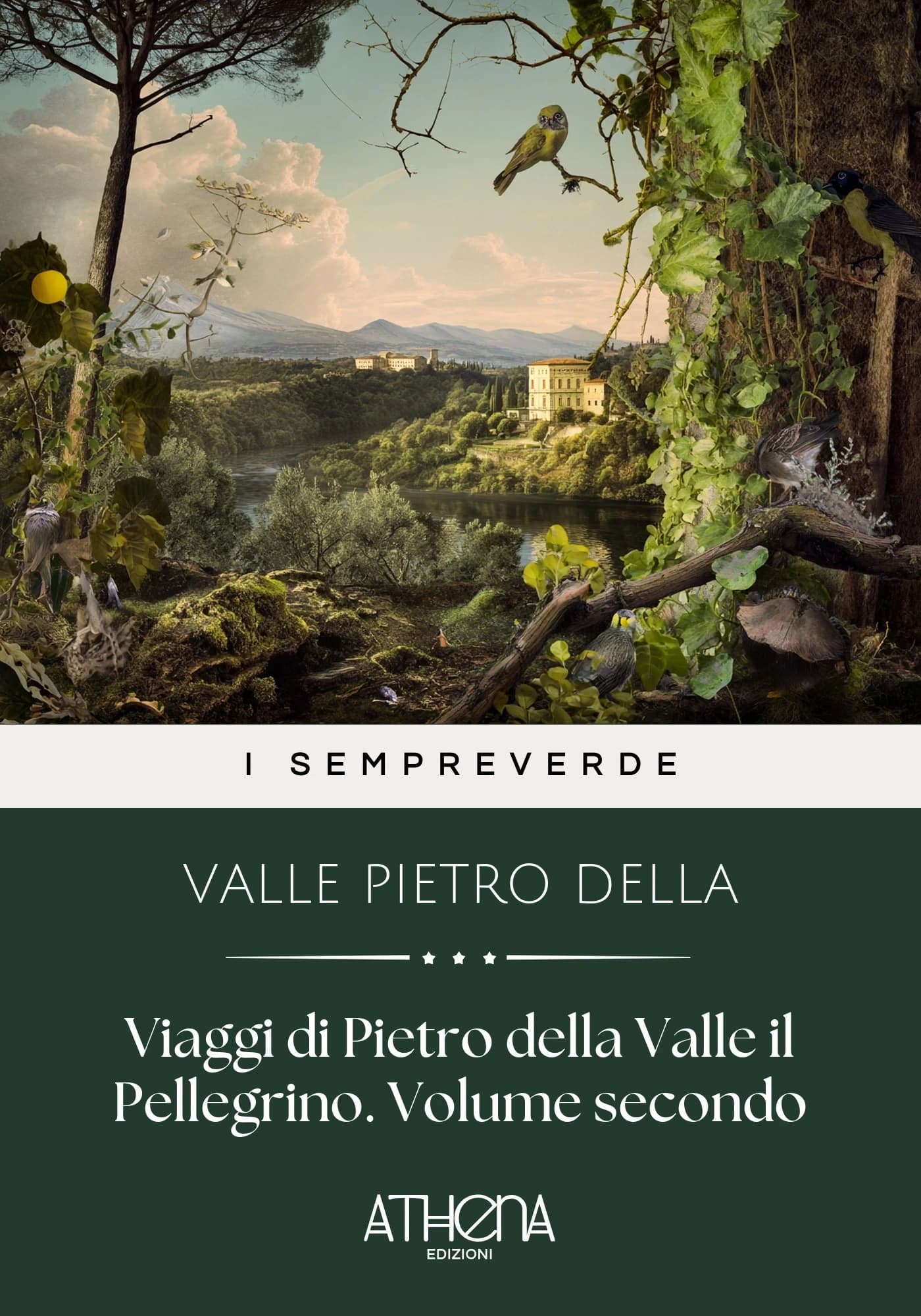 Copertina di Viaggi di Pietro del