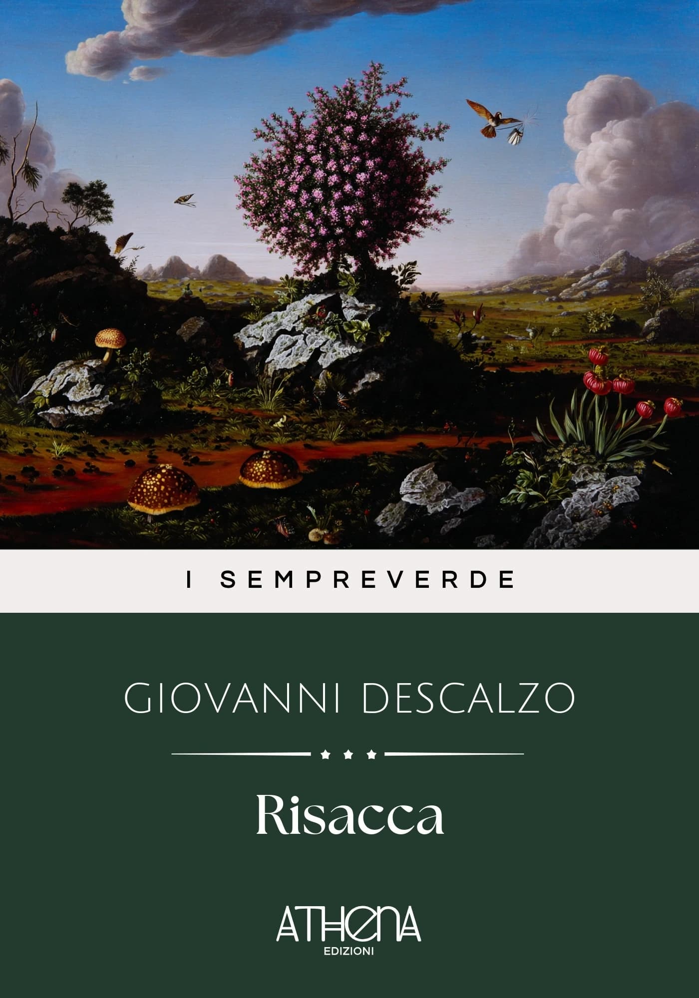 Copertina di Risacca