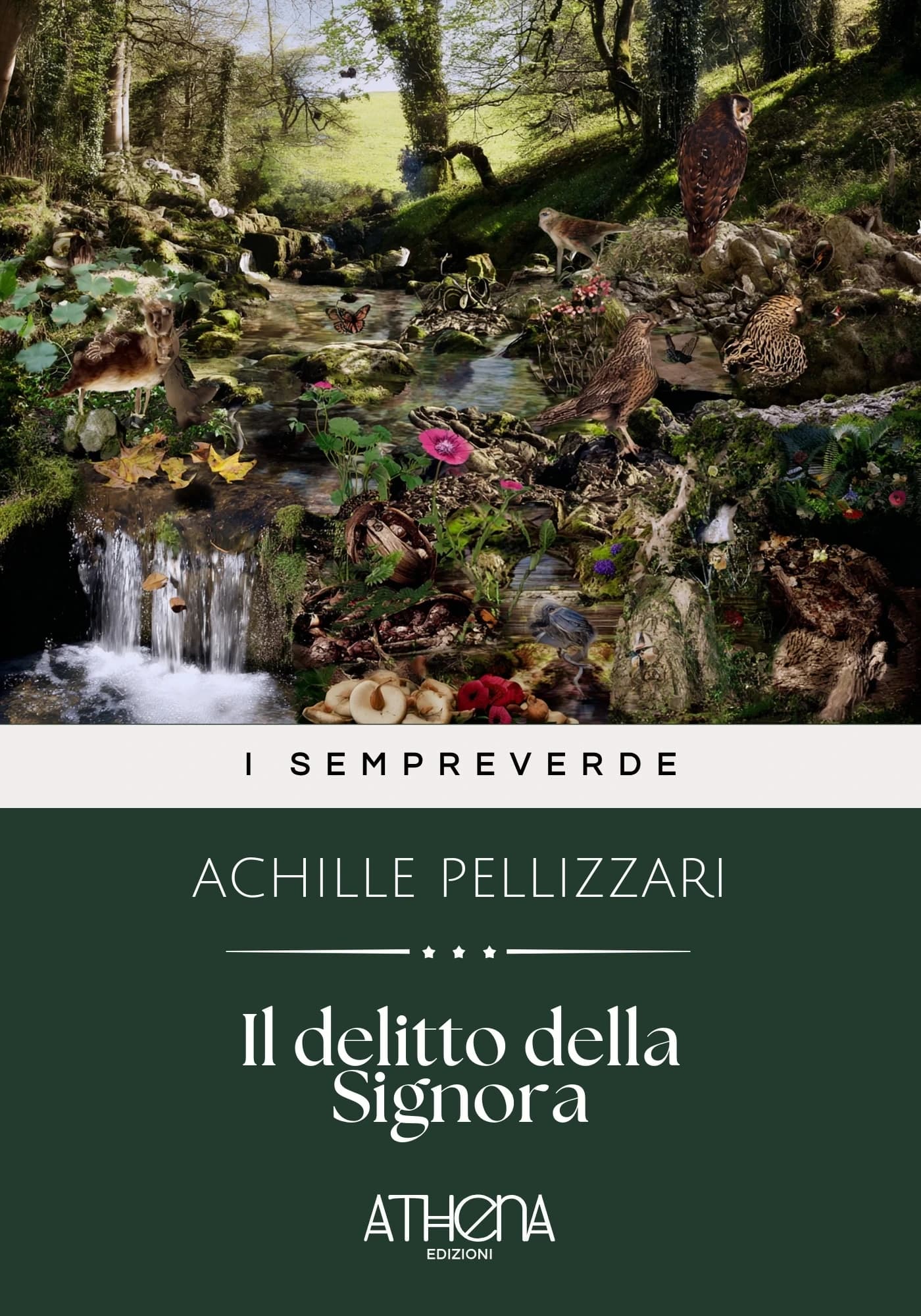 Copertina di Il delitto della Sig